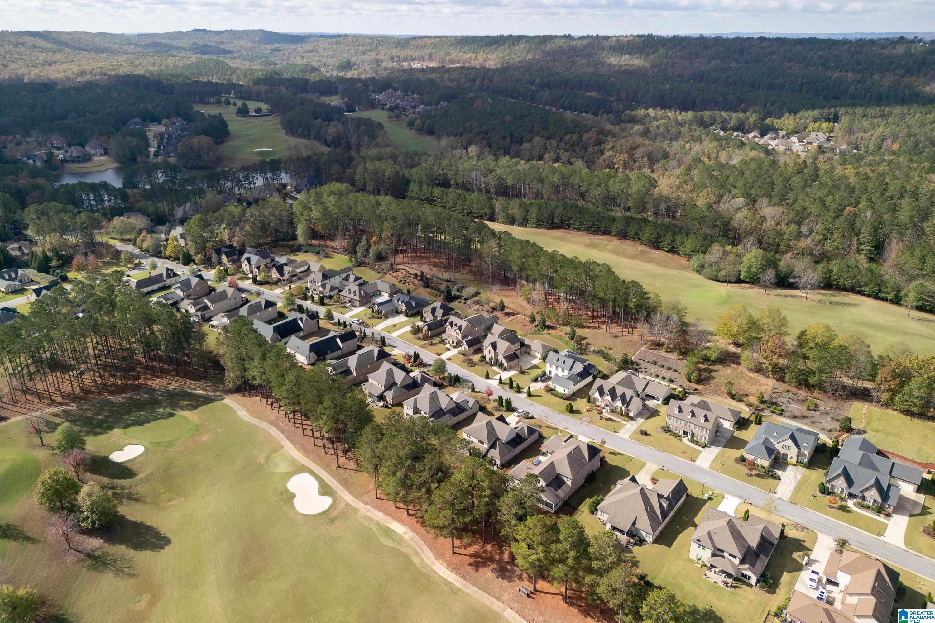 317 Kilkerran Lane Pelham, AL 35124 - Photo 63 of 83