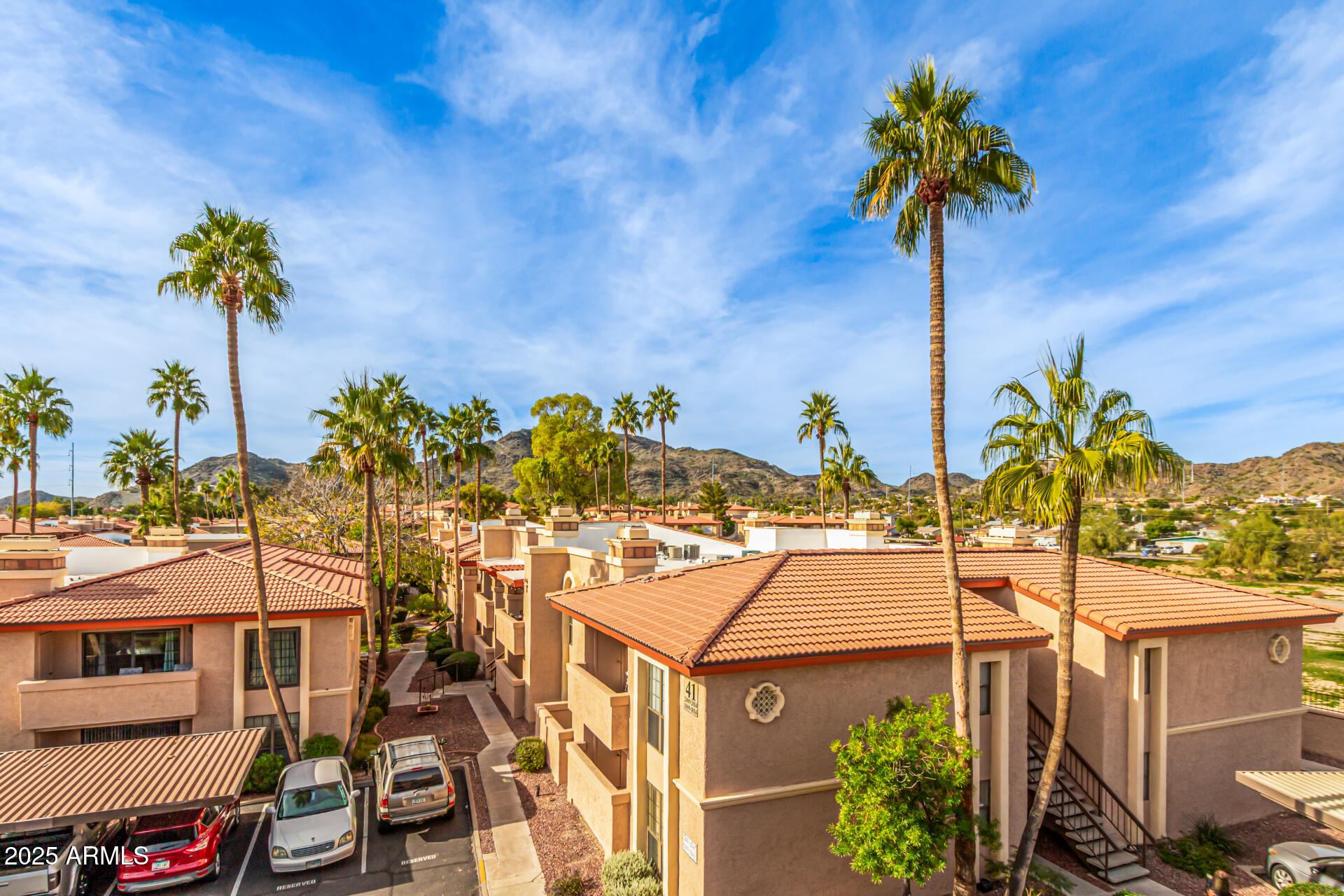 10410 North Cave Creek Road, Unit 2006 Phoenix, AZ 85020 - Photo 10 of 29 a picture of houses with palm trees