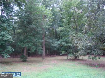 29 Mickels Mill Road Quinton, NJ 08302 - Photo 9 of 12 Exterior