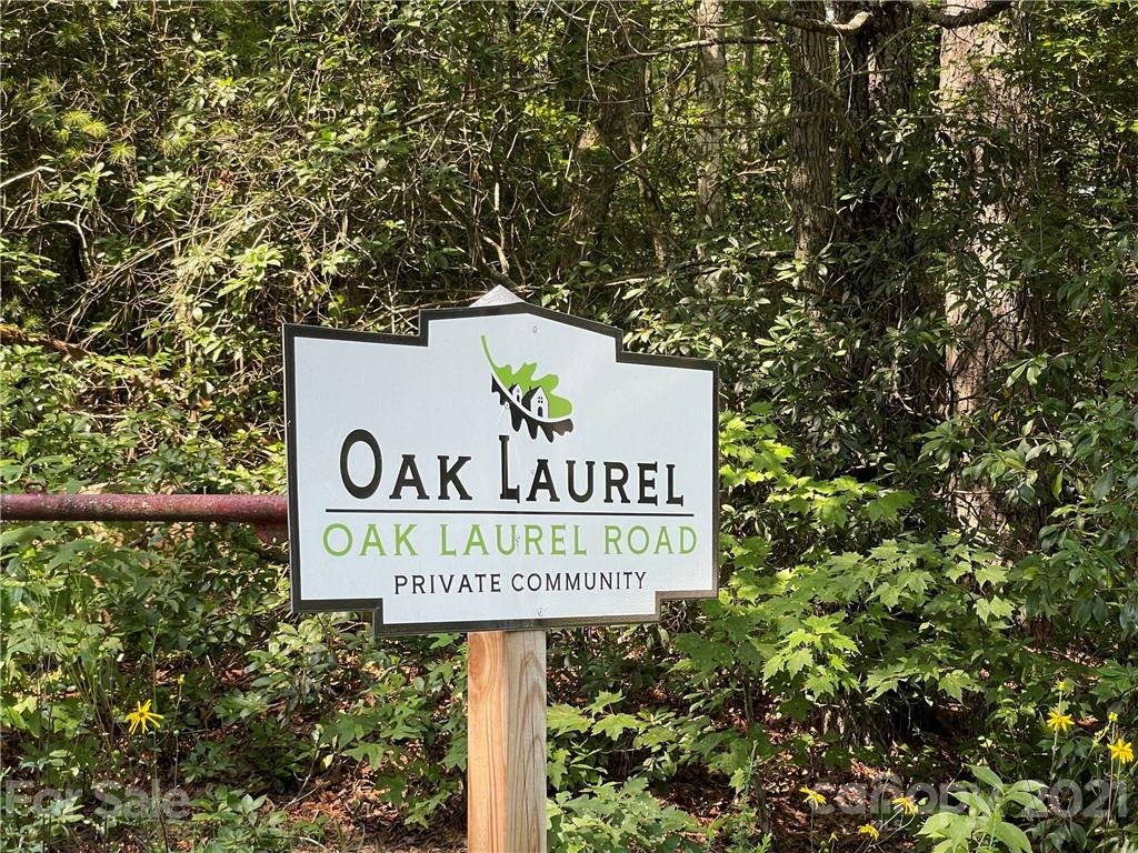 10 Oak Laurel Road, Unit L10 Brevard, NC 28712 - Photo 1 of 9 Gallery Image 1