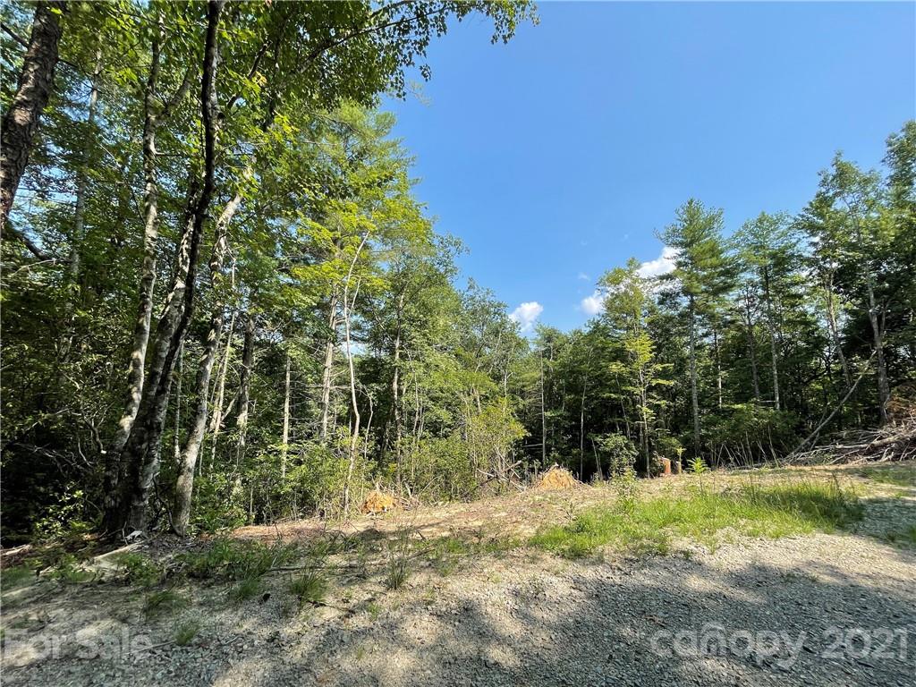 10 Oak Laurel Road, Unit L10 Brevard, NC 28712 - Photo 2 of 9 Gallery Image 2