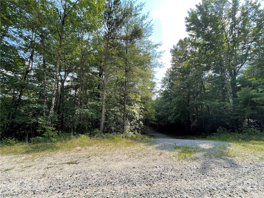 10 Oak Laurel Road, Unit L10 Brevard, NC 28712 - Photo 3 of 9 Gallery Image 3