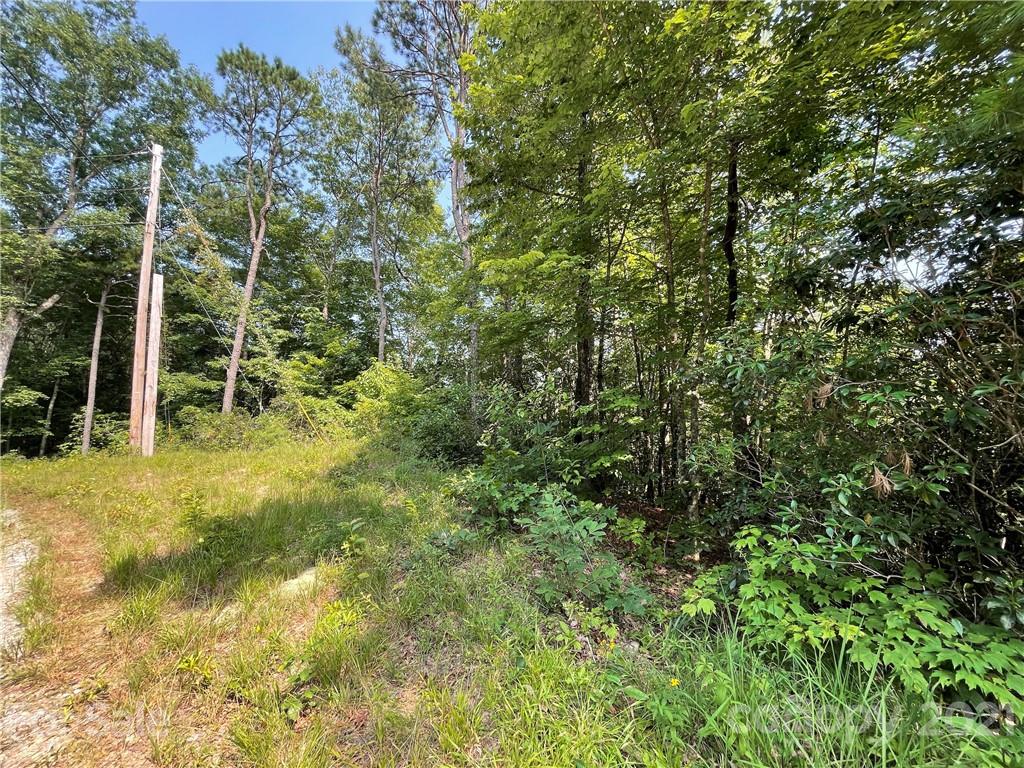 10 Oak Laurel Road, Unit L10 Brevard, NC 28712 - Photo 5 of 9 Gallery Image 5