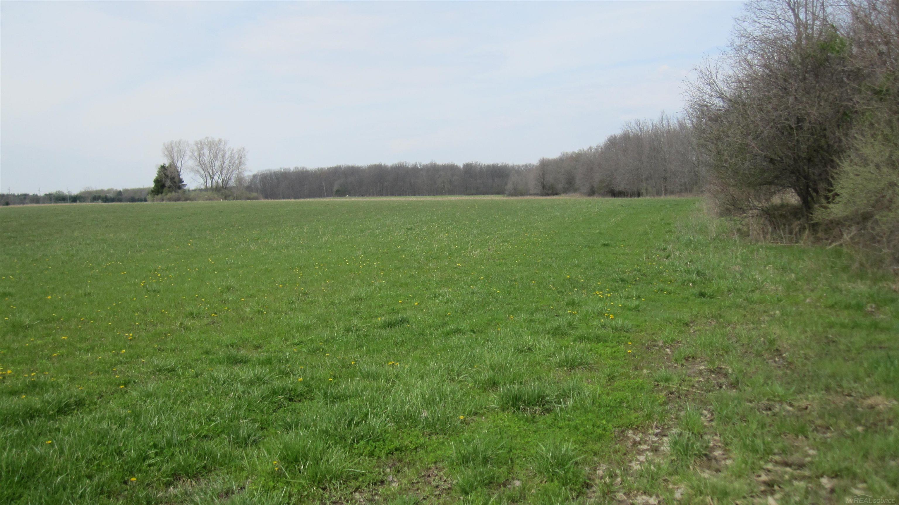 1-vl Jeddo Road Avoca, MI 48006 - Photo 13 of 18