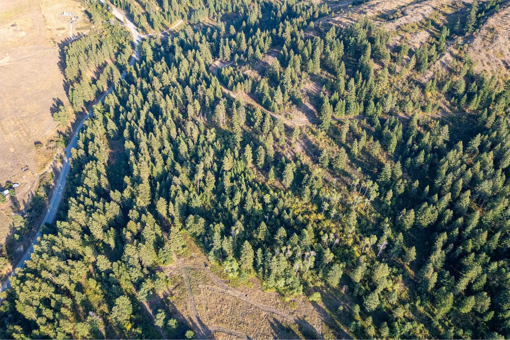 2584 B Bridgeman-Rettinger Road Kettle Falls, WA 99141 - Photo 11 of 42 Gallery Image 11