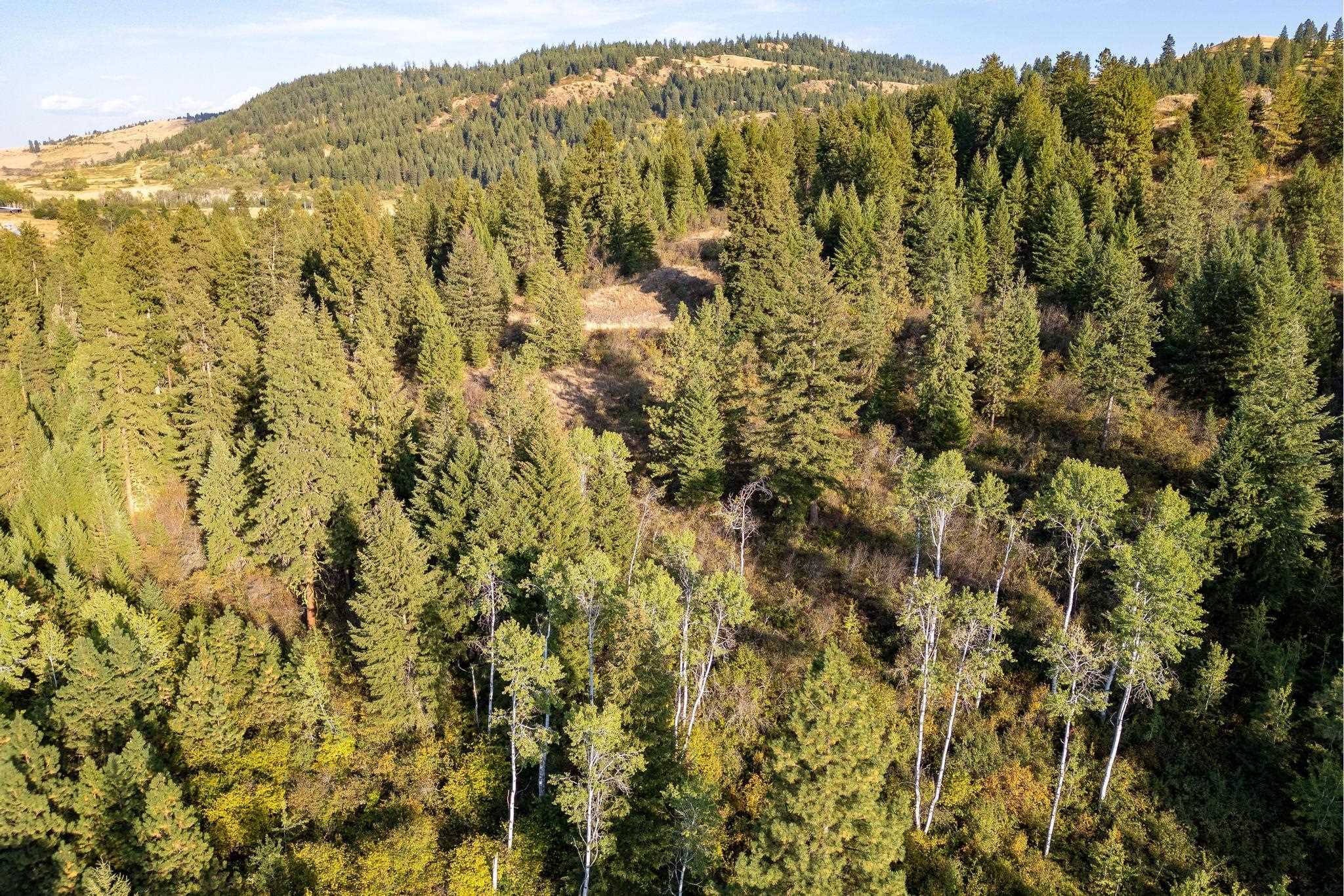 2584 B Bridgeman-Rettinger Road Kettle Falls, WA 99141 - Photo 13 of 42 Gallery Image 13