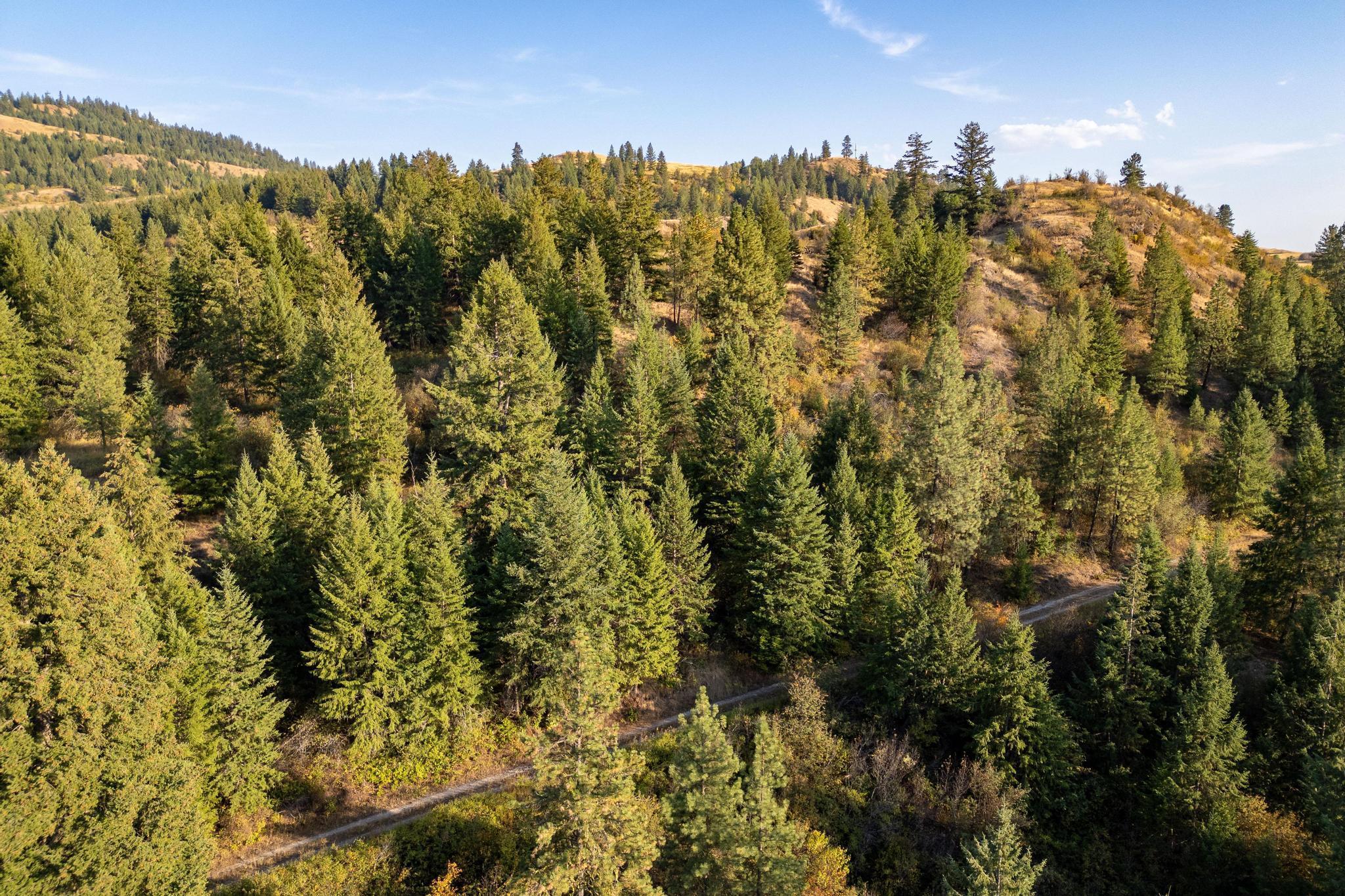 2584 B Bridgeman-Rettinger Road Kettle Falls, WA 99141 - Photo 15 of 42 Gallery Image 15