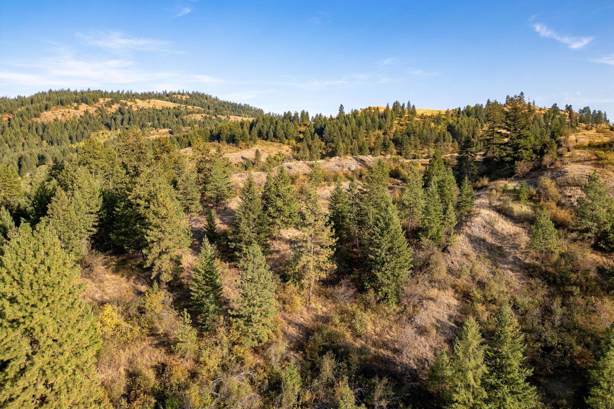 2584 B Bridgeman-Rettinger Road Kettle Falls, WA 99141 - Photo 16 of 42 Gallery Image 16