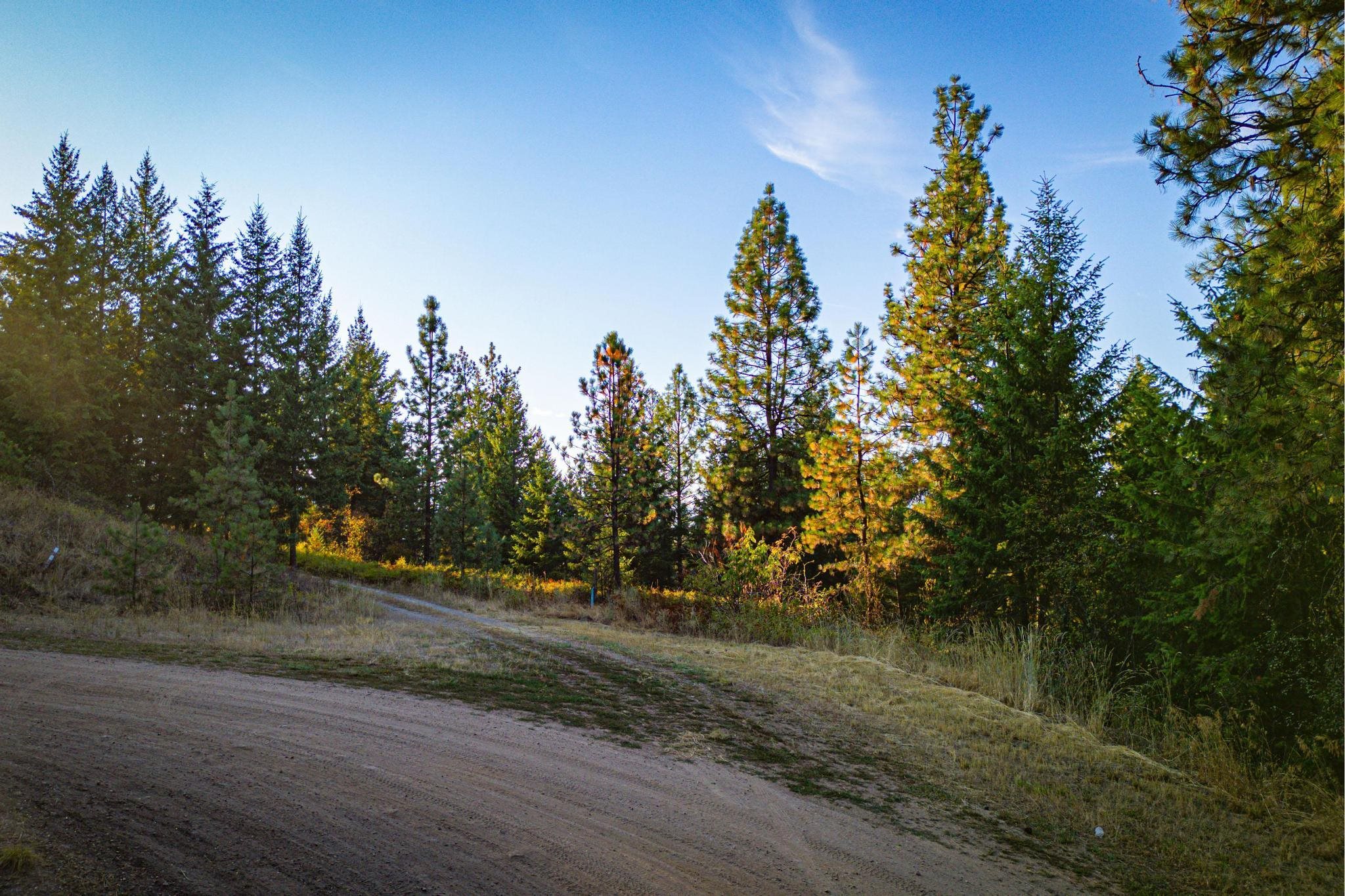 2584 B Bridgeman-Rettinger Road Kettle Falls, WA 99141 - Photo 24 of 42 Gallery Image 24