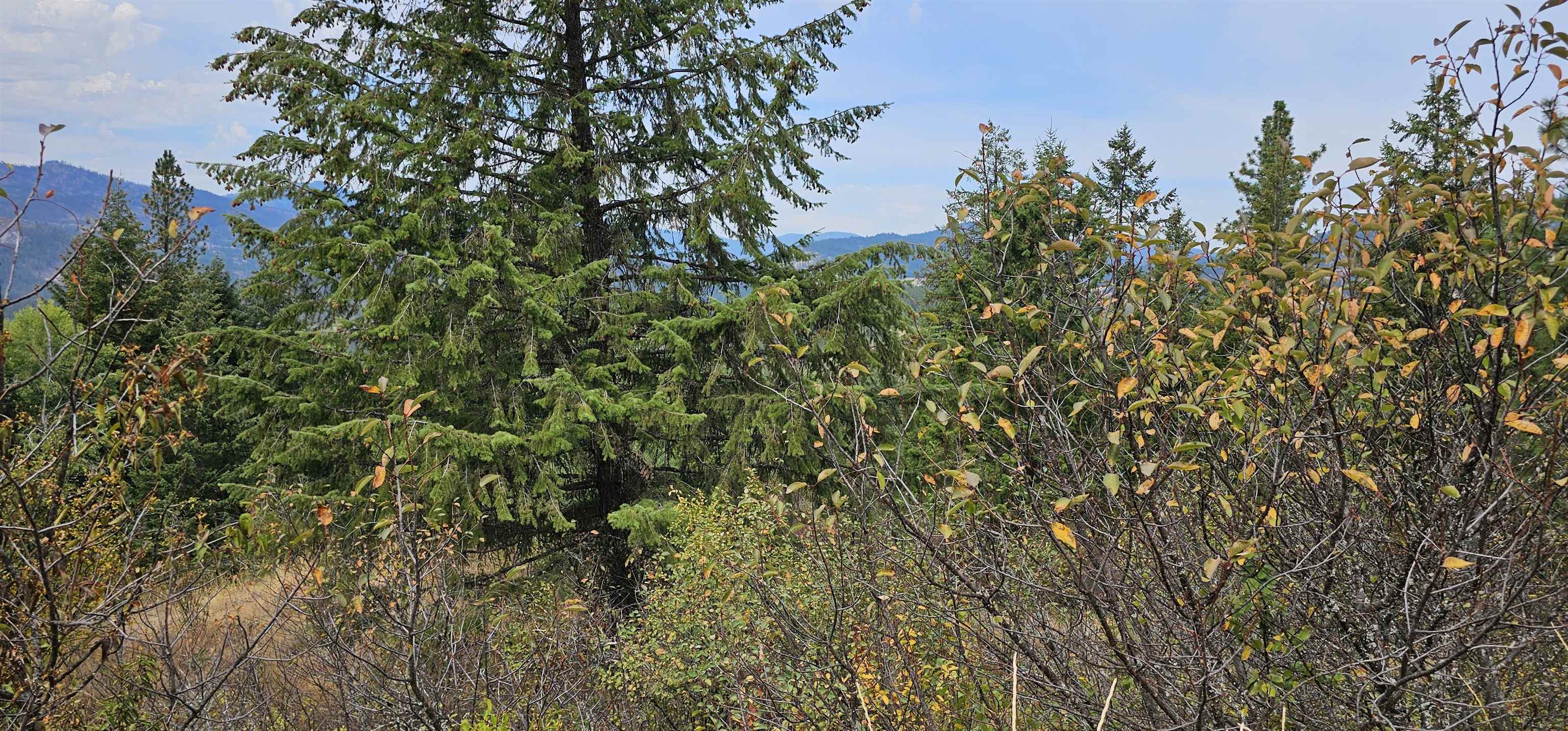 2584 B Bridgeman-Rettinger Road Kettle Falls, WA 99141 - Photo 26 of 42 Gallery Image 26