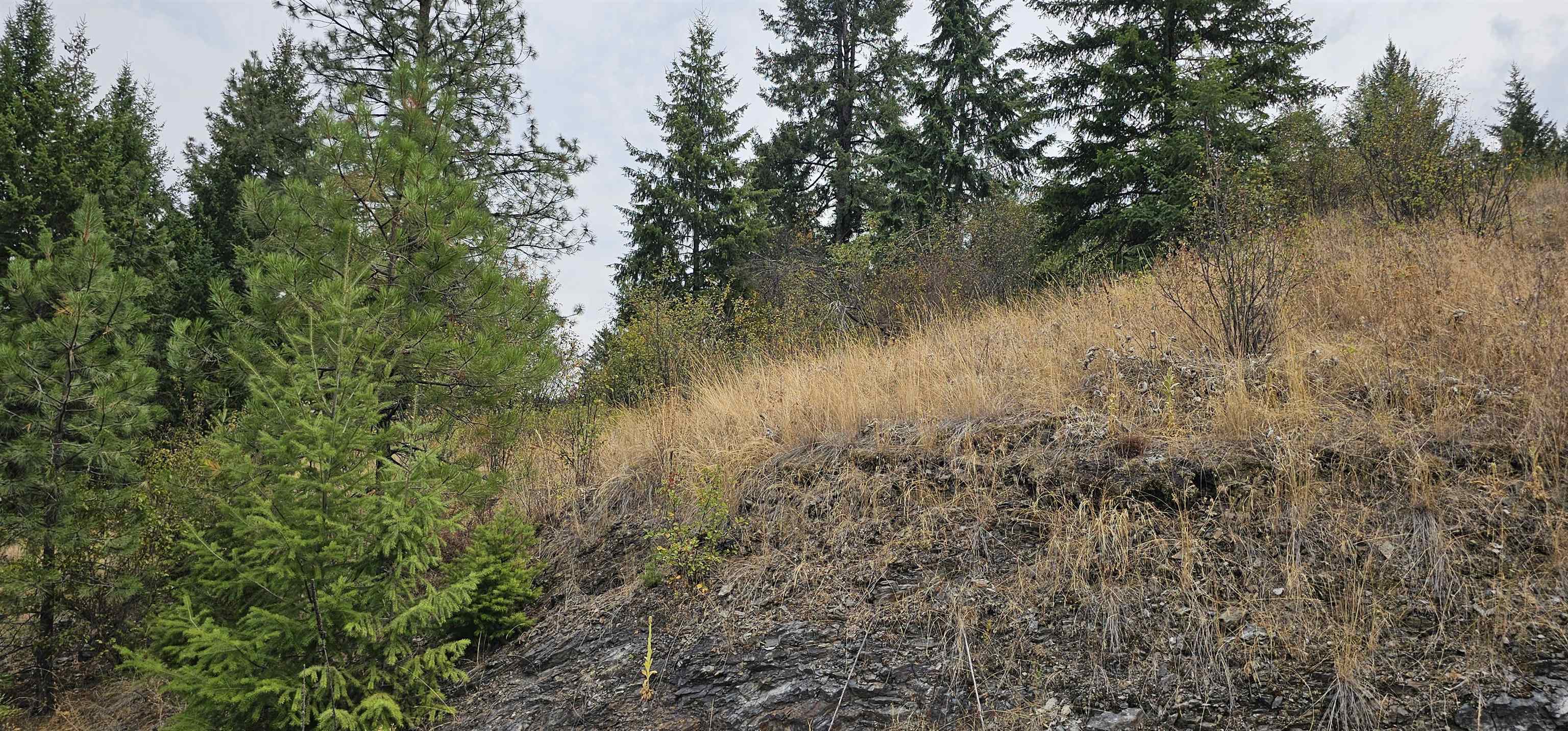 2584 B Bridgeman-Rettinger Road Kettle Falls, WA 99141 - Photo 27 of 42 Gallery Image 27