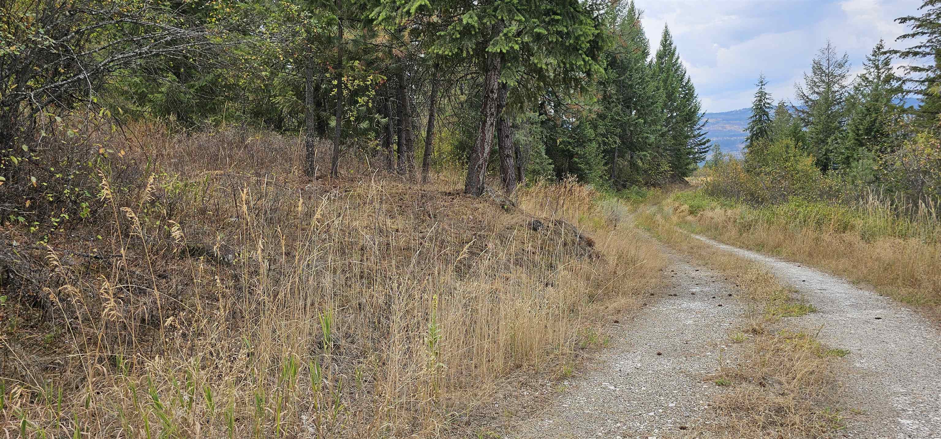 2584 B Bridgeman-Rettinger Road Kettle Falls, WA 99141 - Photo 30 of 42 Gallery Image 30