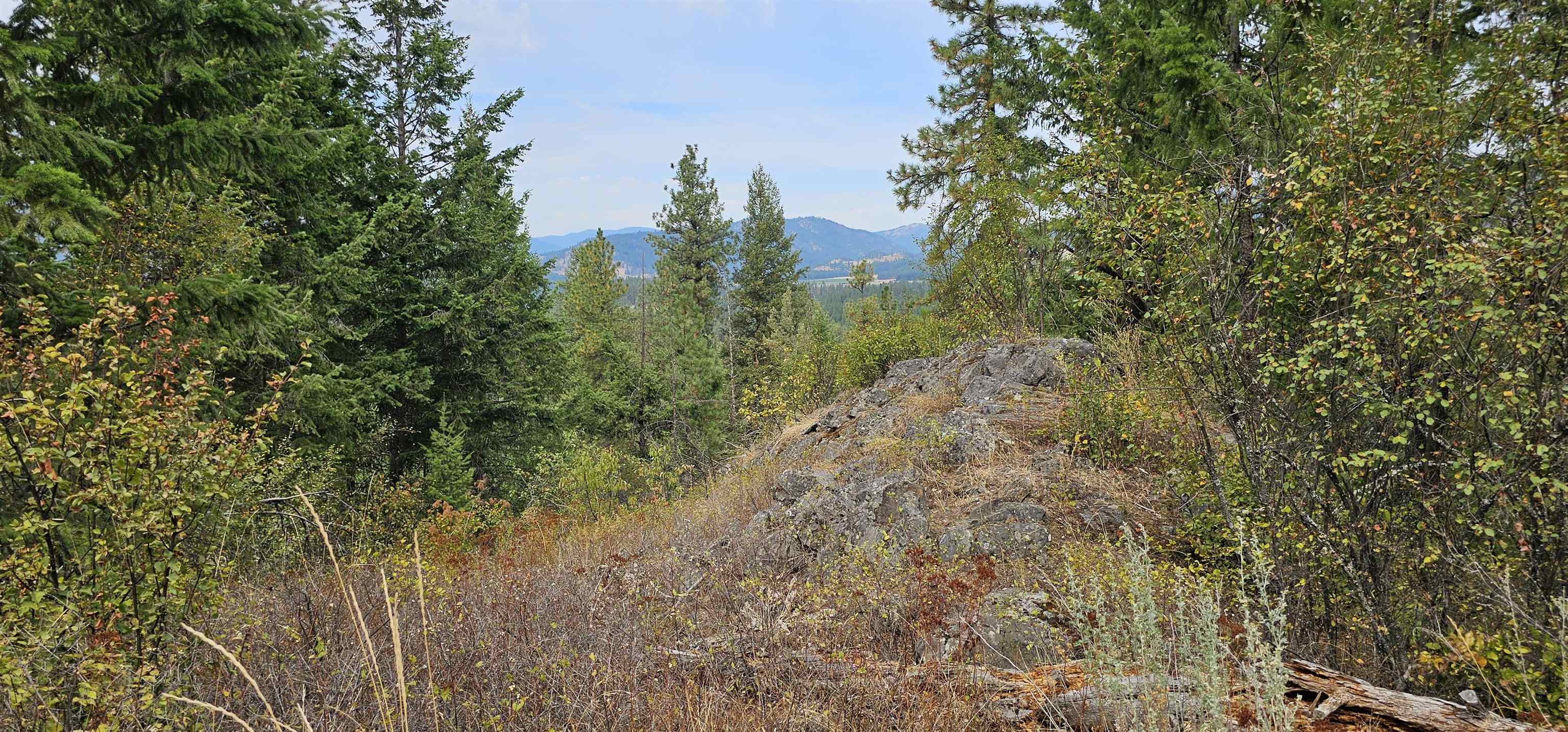 2584 B Bridgeman-Rettinger Road Kettle Falls, WA 99141 - Photo 31 of 42 Gallery Image 31