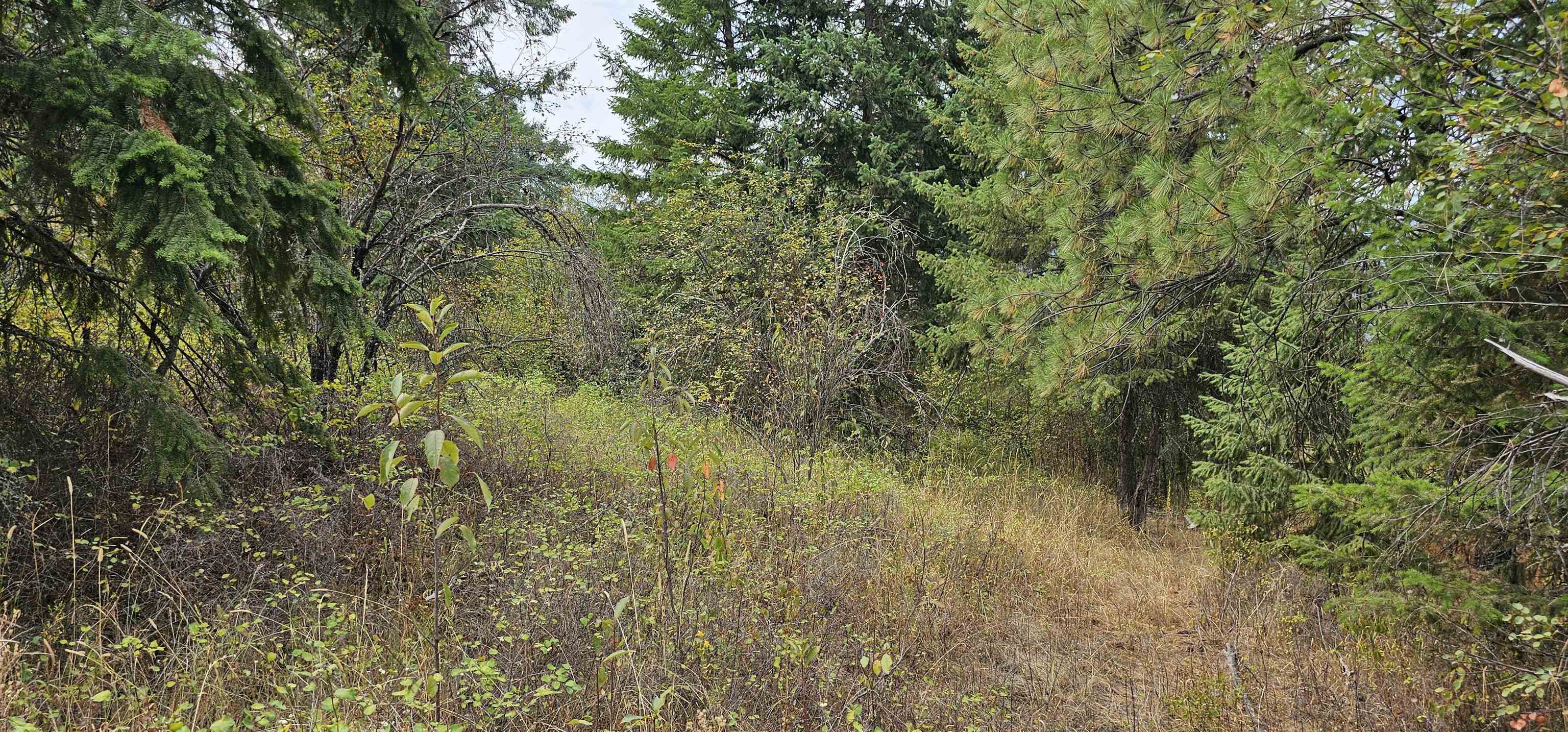 2584 B Bridgeman-Rettinger Road Kettle Falls, WA 99141 - Photo 32 of 42 Gallery Image 32