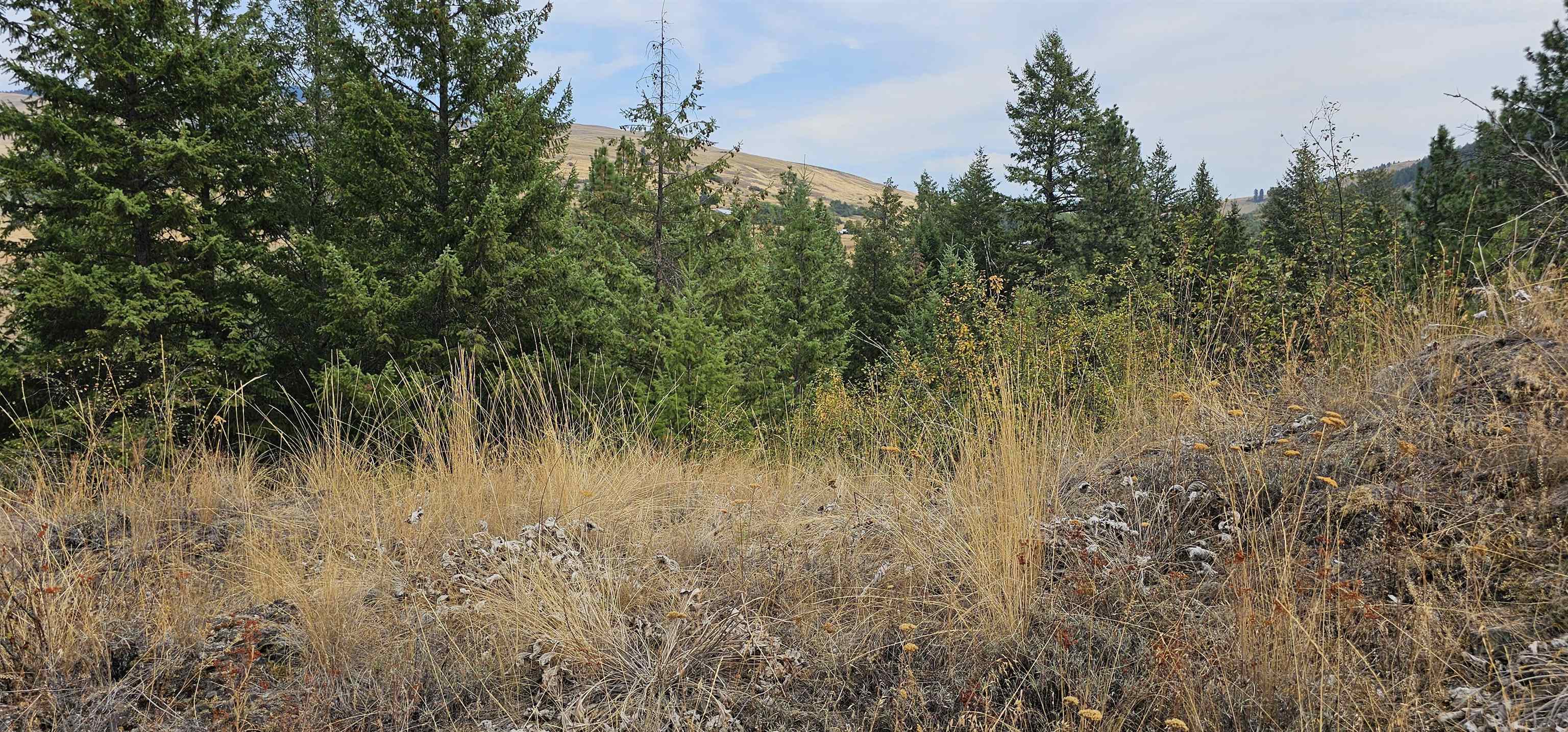 2584 B Bridgeman-Rettinger Road Kettle Falls, WA 99141 - Photo 33 of 42 Gallery Image 33