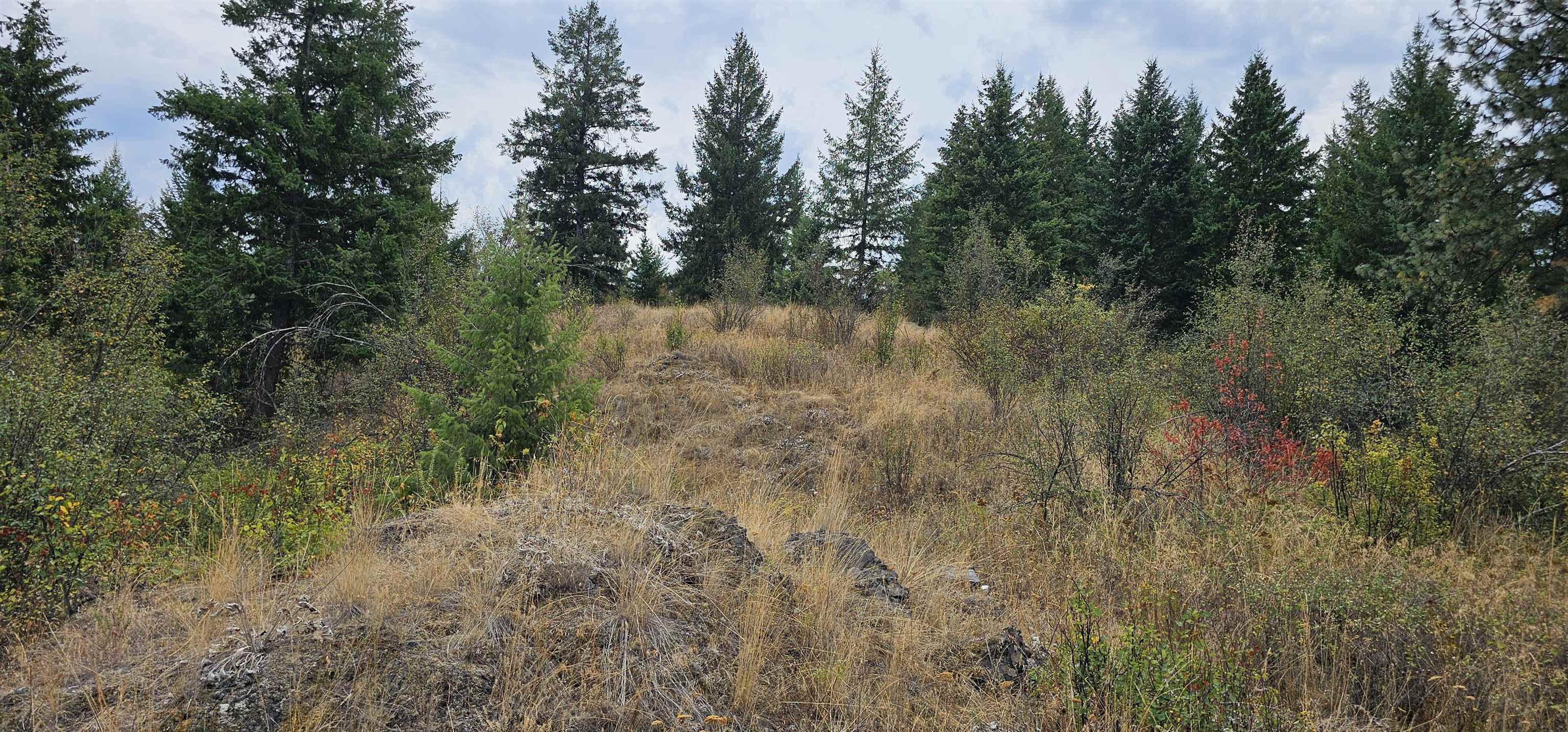 2584 B Bridgeman-Rettinger Road Kettle Falls, WA 99141 - Photo 34 of 42 Gallery Image 34