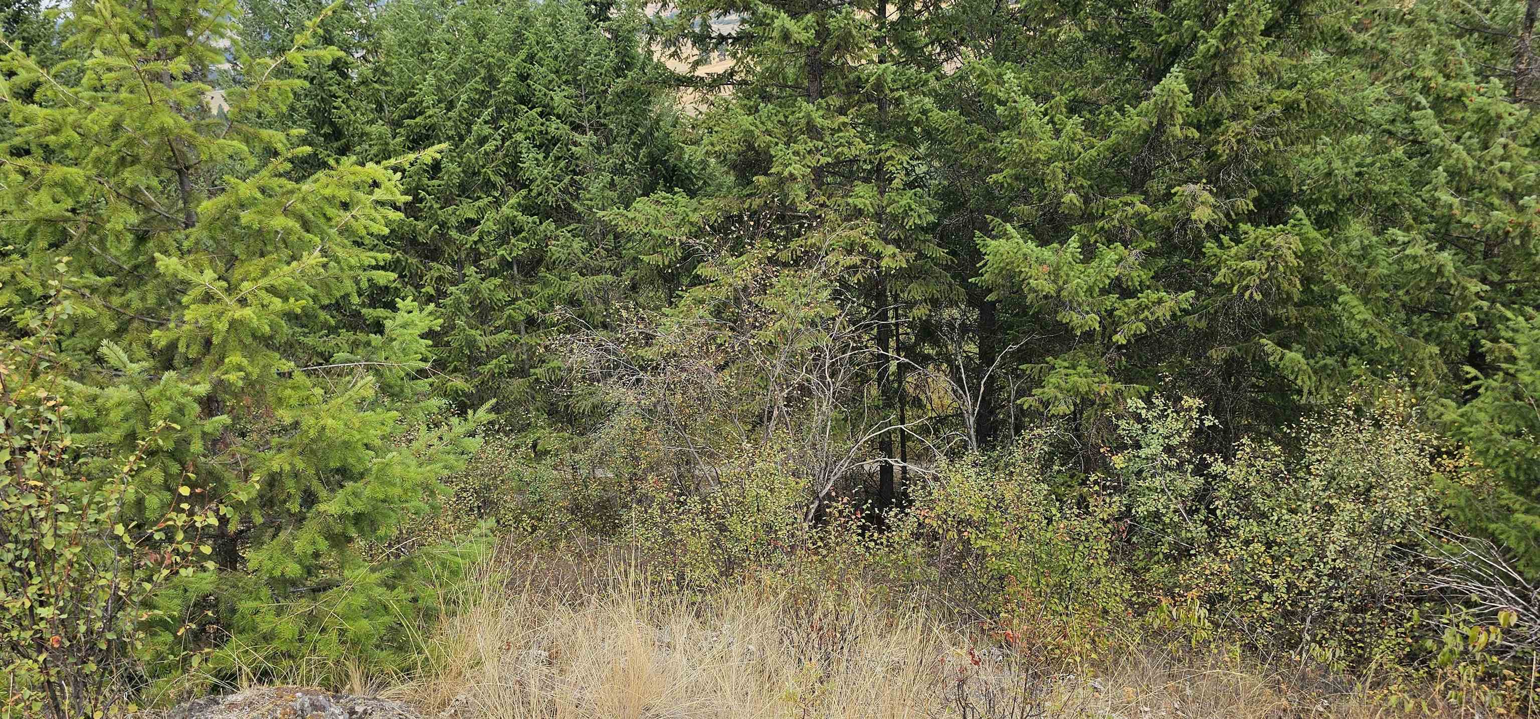 2584 B Bridgeman-Rettinger Road Kettle Falls, WA 99141 - Photo 35 of 42 Gallery Image 35