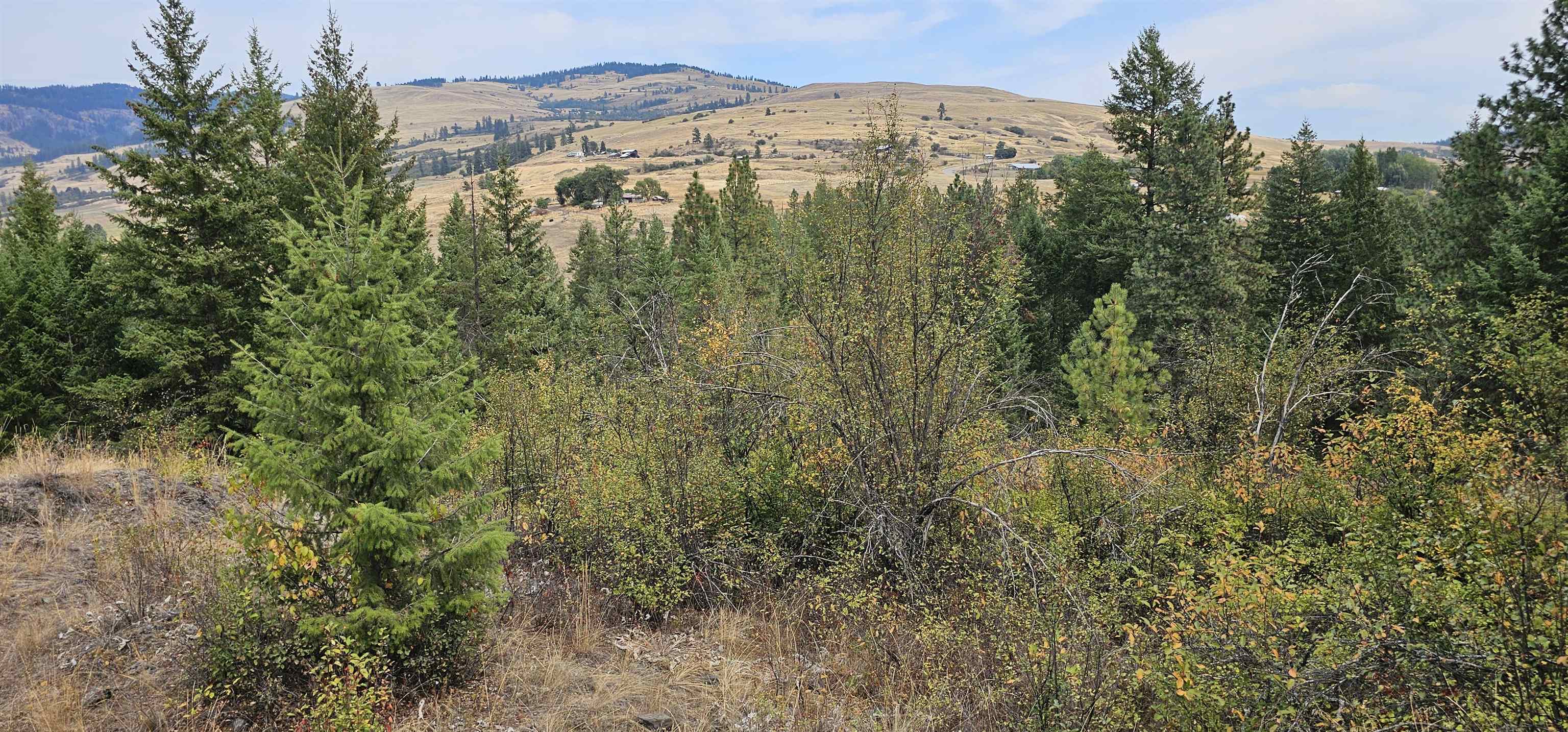2584 B Bridgeman-Rettinger Road Kettle Falls, WA 99141 - Photo 36 of 42 Gallery Image 36