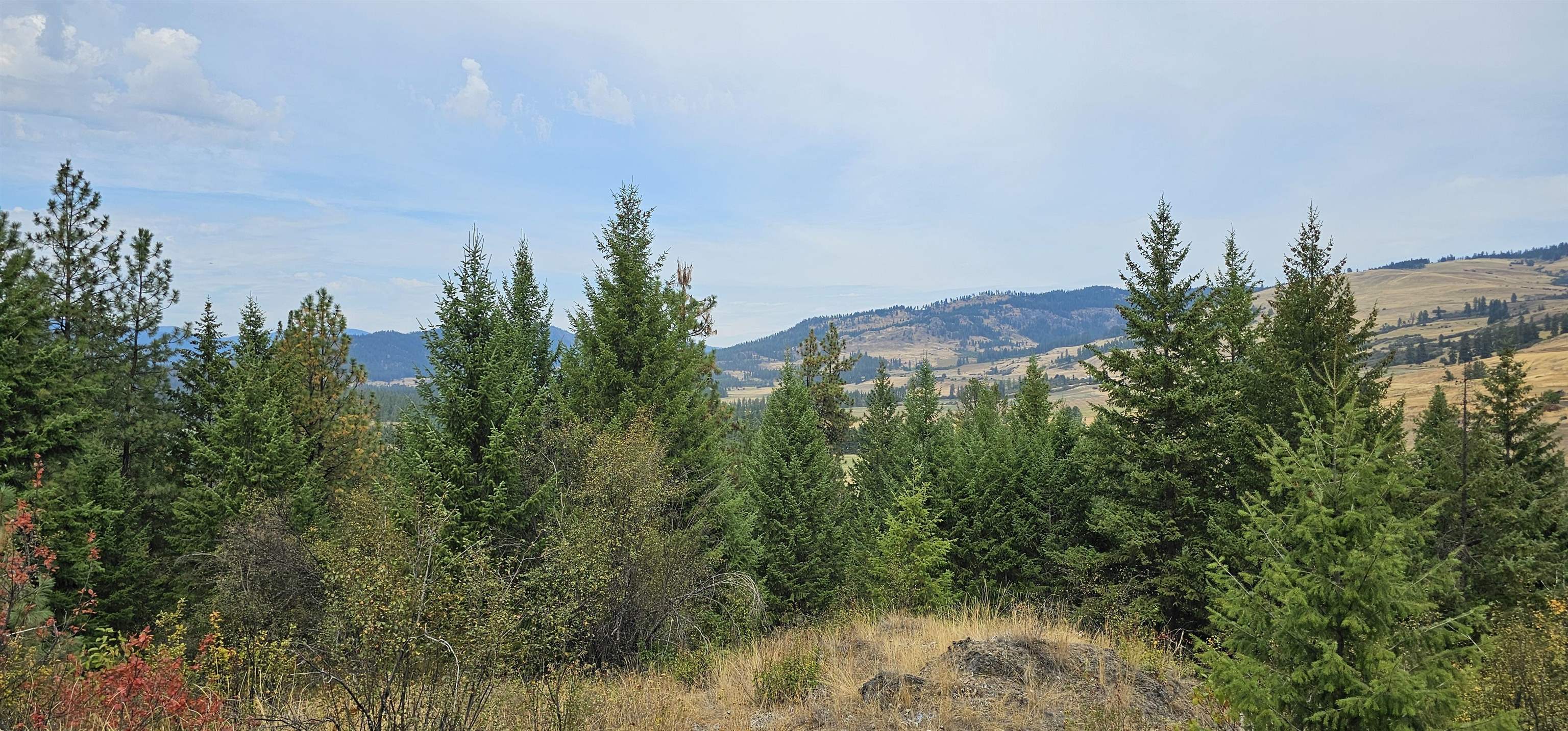2584 B Bridgeman-Rettinger Road Kettle Falls, WA 99141 - Photo 37 of 42 Gallery Image 37