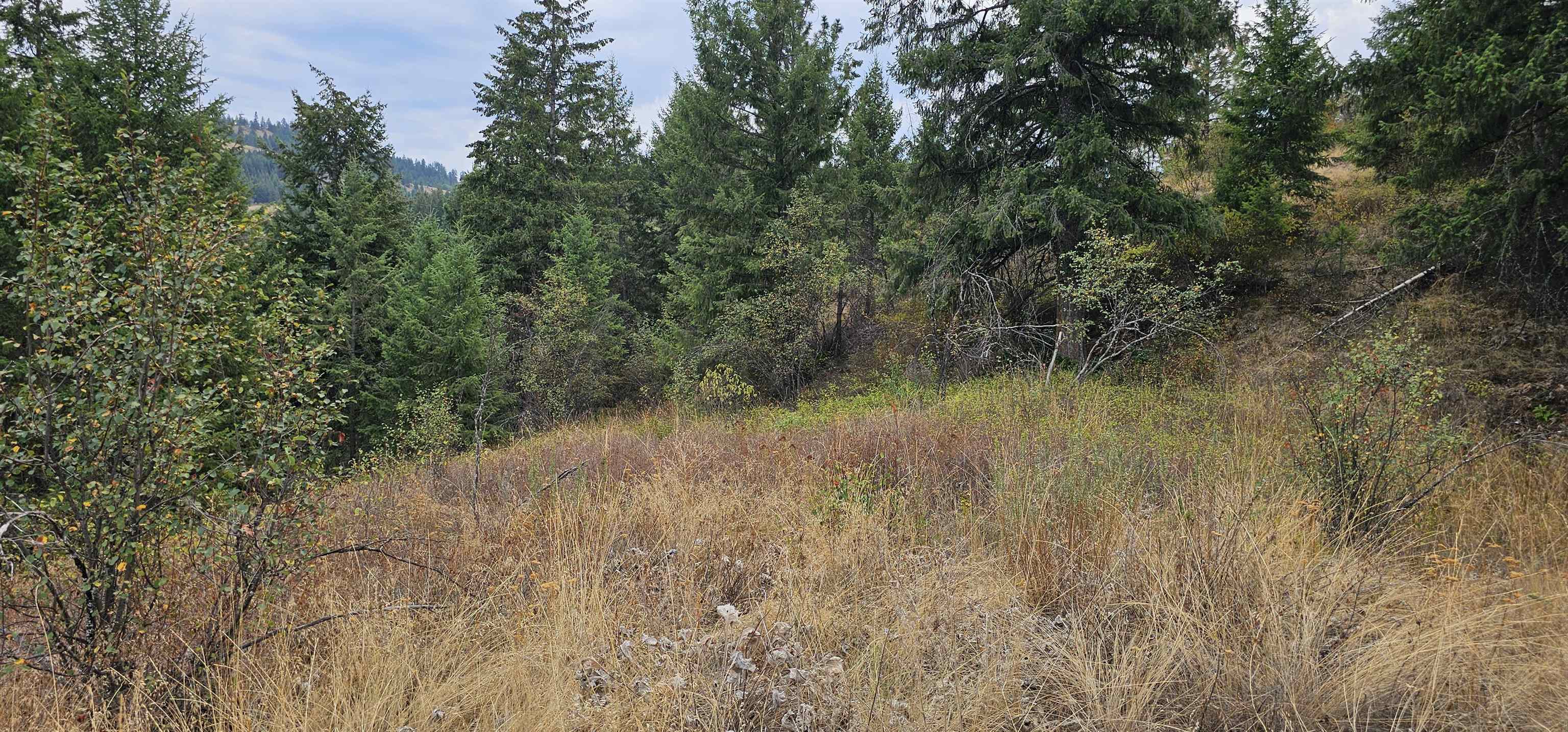 2584 B Bridgeman-Rettinger Road Kettle Falls, WA 99141 - Photo 38 of 42 Gallery Image 38