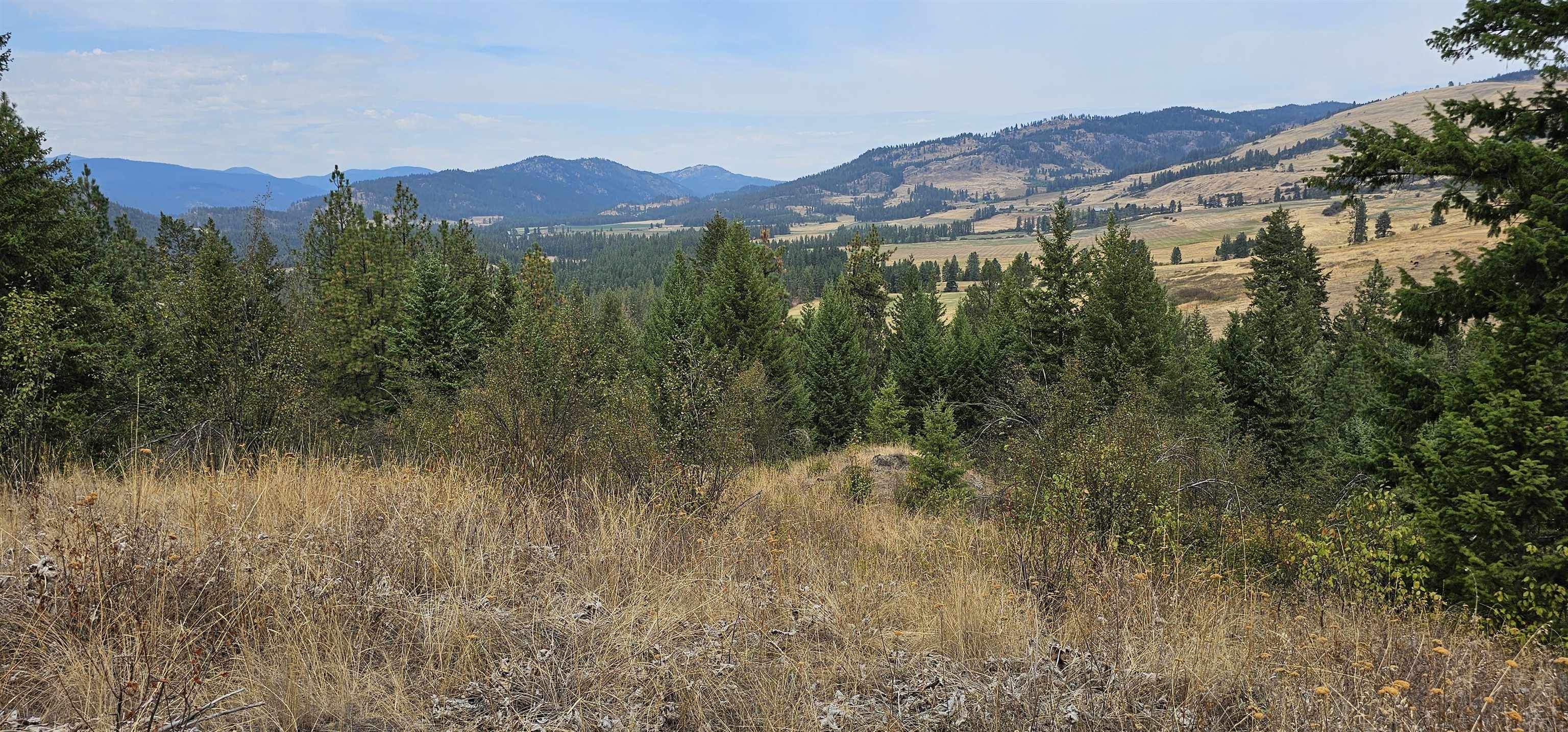 2584 B Bridgeman-Rettinger Road Kettle Falls, WA 99141 - Photo 39 of 42 Gallery Image 39