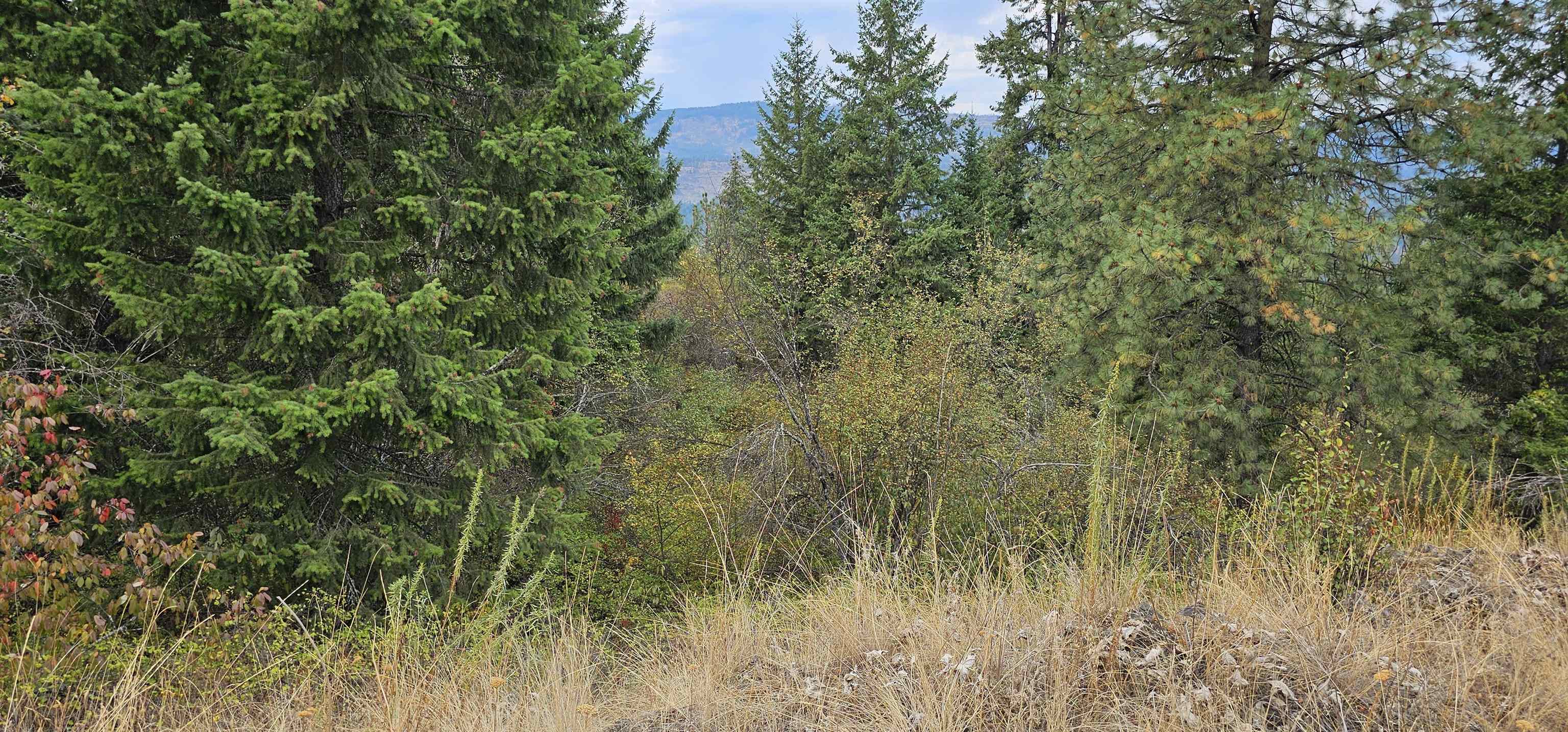 2584 B Bridgeman-Rettinger Road Kettle Falls, WA 99141 - Photo 40 of 42 Gallery Image 40