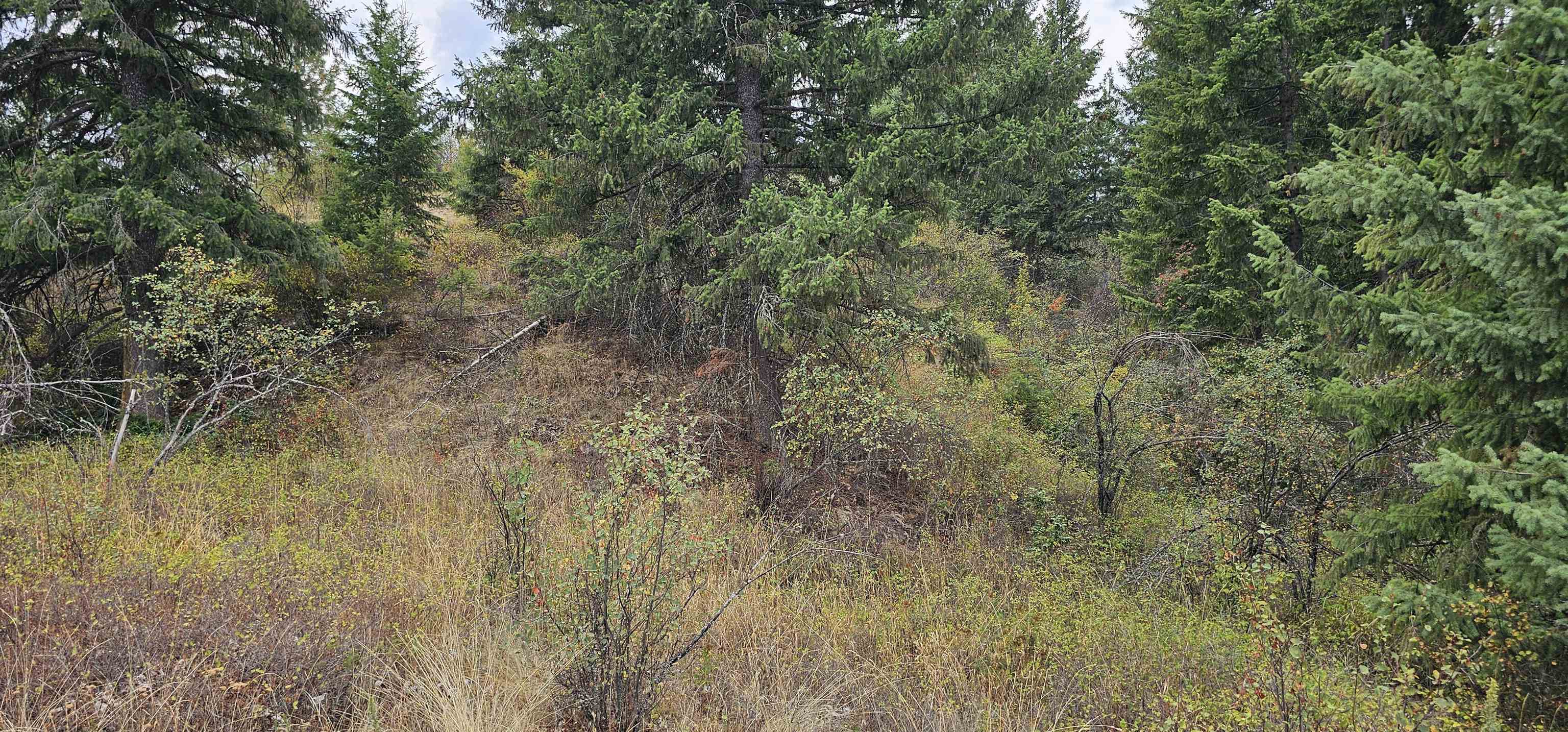 2584 B Bridgeman-Rettinger Road Kettle Falls, WA 99141 - Photo 41 of 42 Gallery Image 41