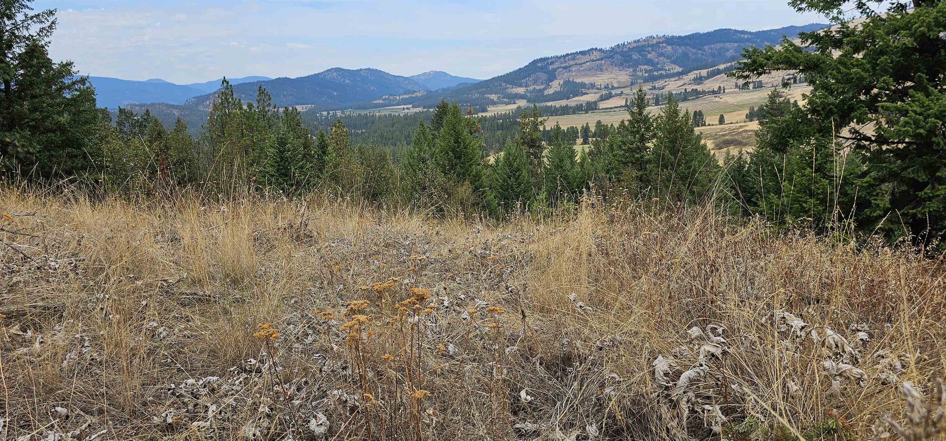 2584 B Bridgeman-Rettinger Road Kettle Falls, WA 99141 - Photo 42 of 42 Gallery Image 42