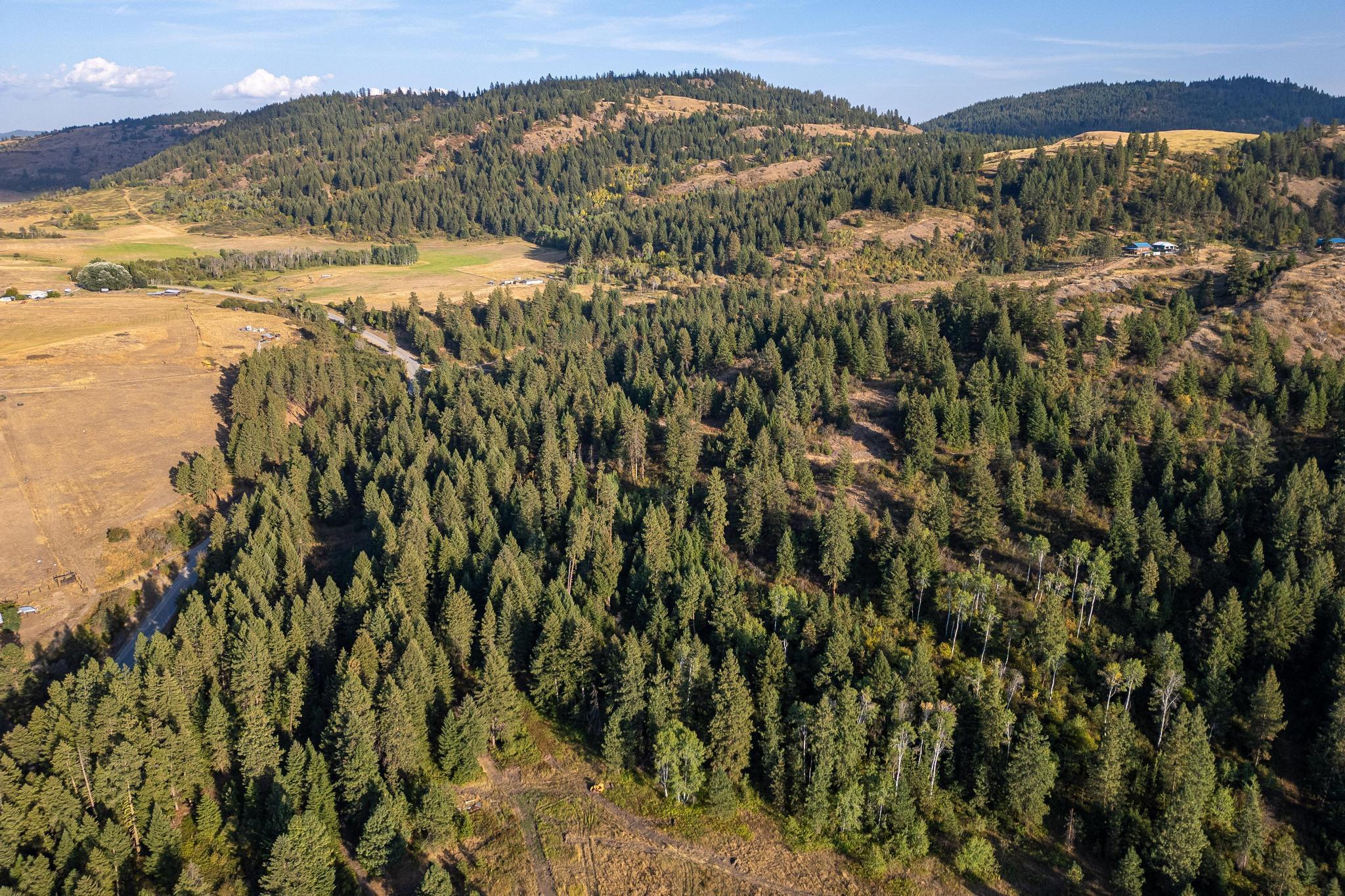 2584 B Bridgeman-Rettinger Road Kettle Falls, WA 99141 - Photo 10 of 42 Gallery Image 10