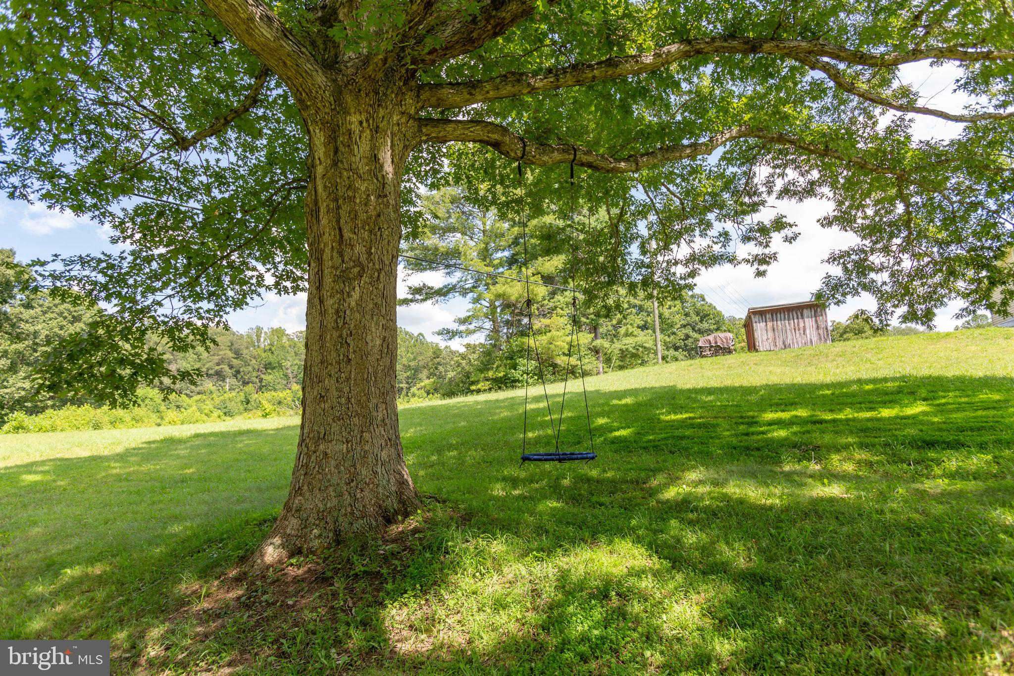 7228 Courthouse Road Spotsylvania, VA 22551 - Photo 3 of 63 Expansive backyard