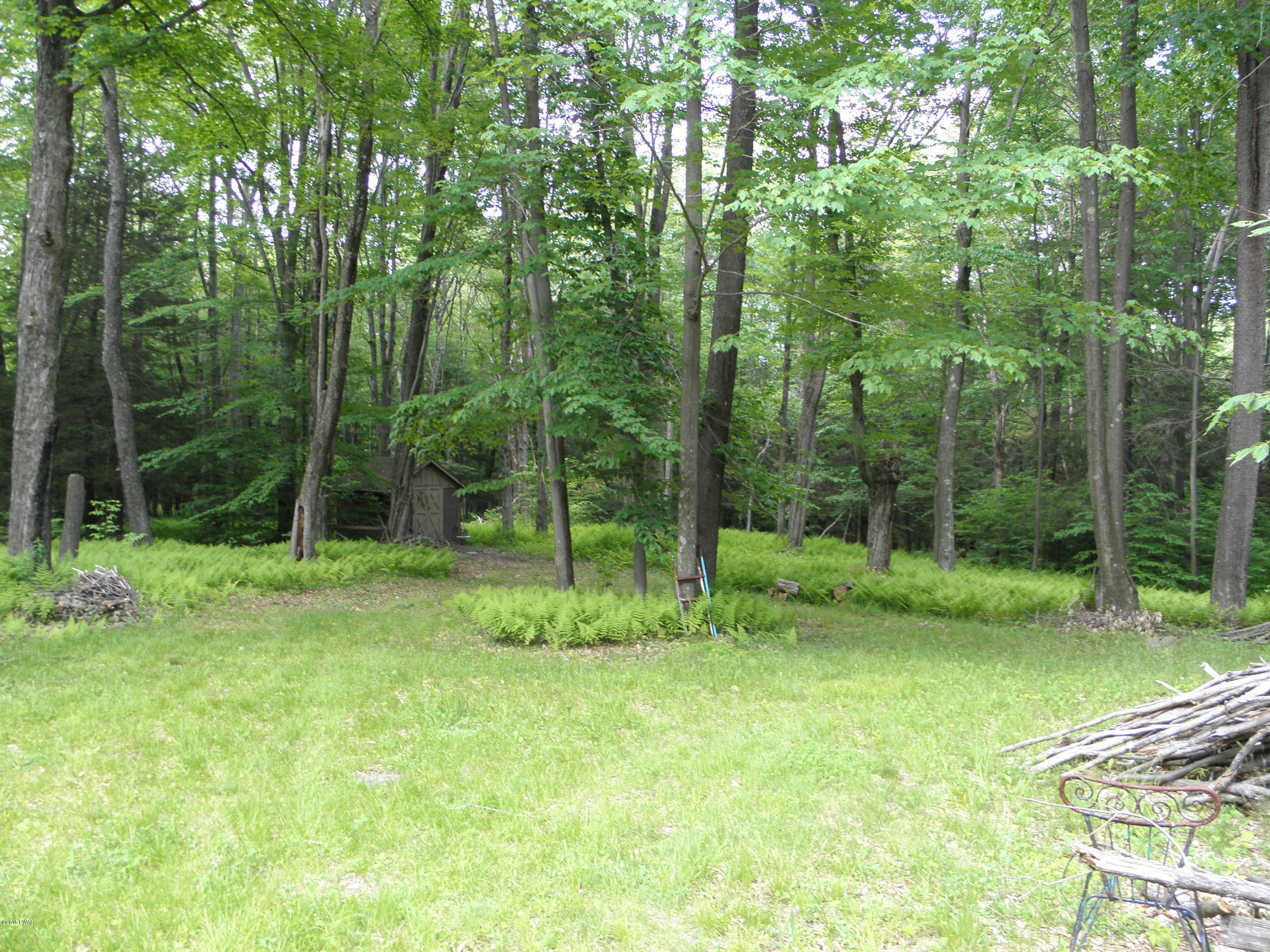 Hanlon Rd Lake Lake Ariel, PA 18436 - Photo 5 of 12