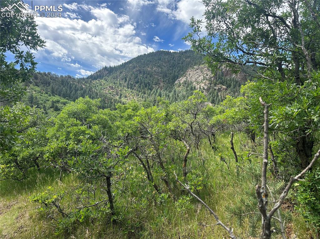 110 Crystal Park Road Manitou Springs, CO 80829 - Photo 11 of 22 a view of a yard