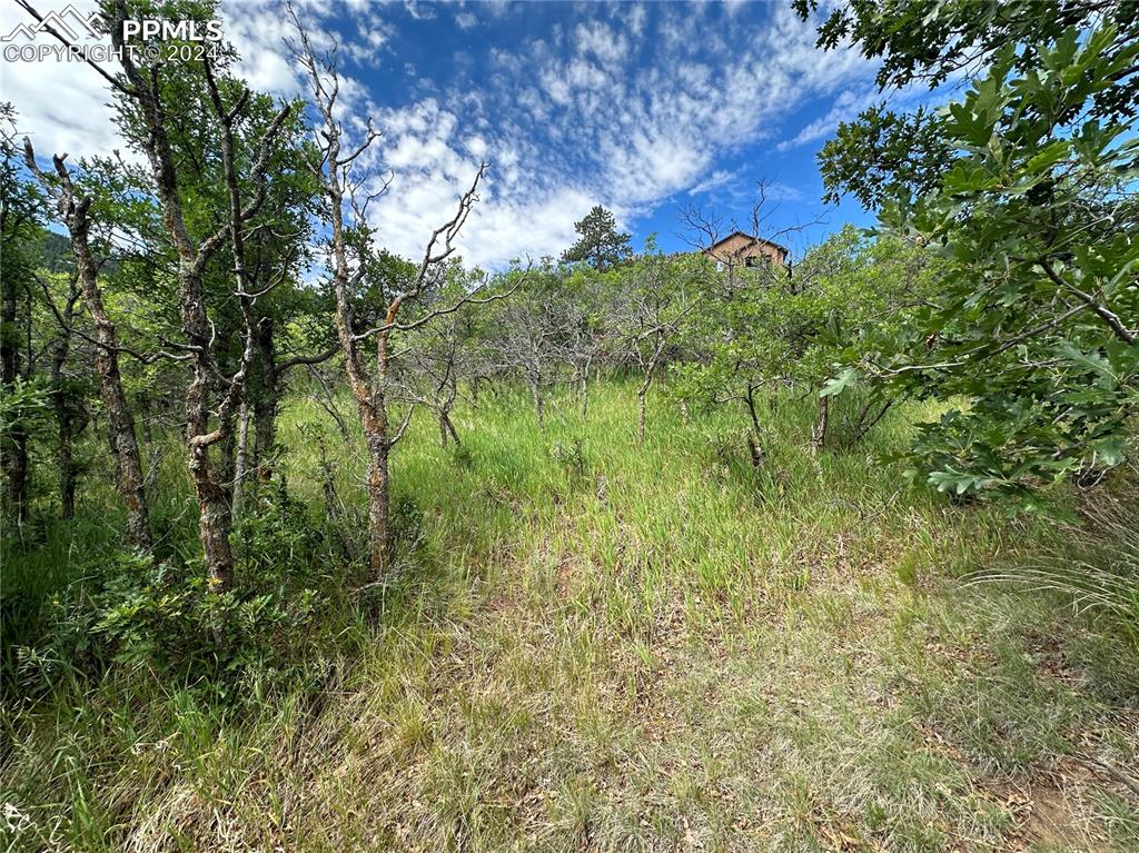 110 Crystal Park Road Manitou Springs, CO 80829 - Photo 13 of 22 a view of a garden