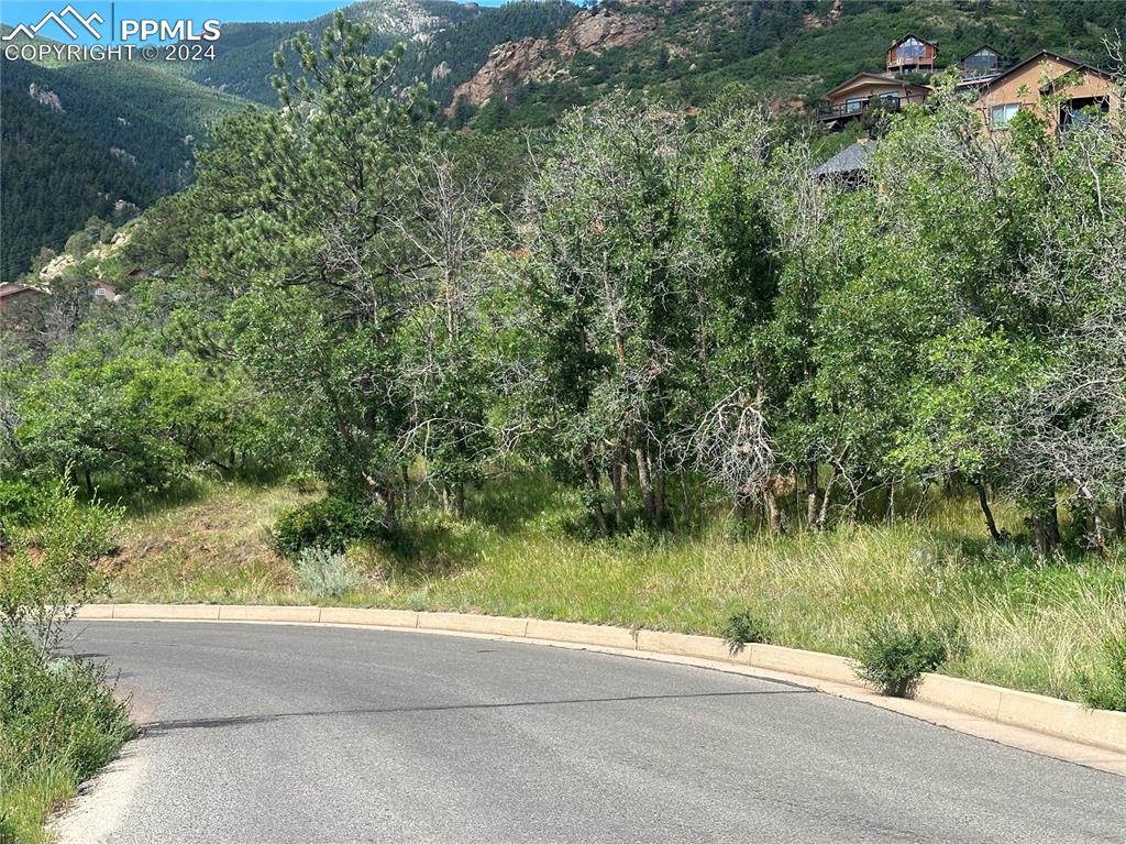 110 Crystal Park Road Manitou Springs, CO 80829 - Photo 14 of 22 a view of a garden with a lake view