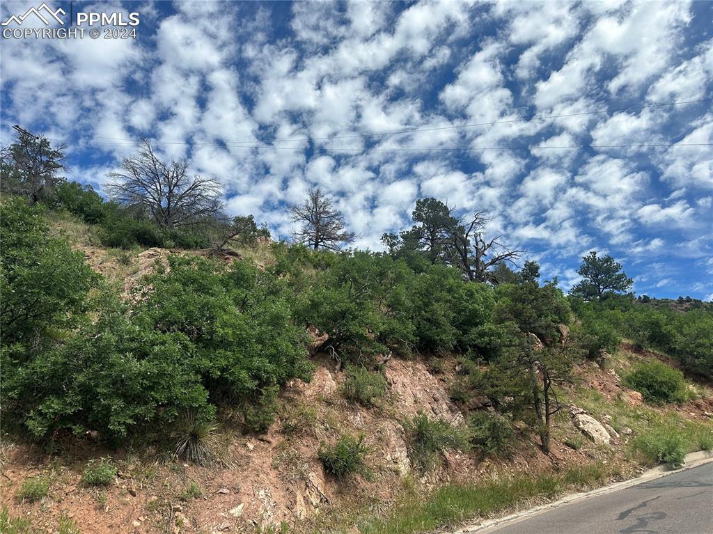 110 Crystal Park Road Manitou Springs, CO 80829 - Photo 15 of 22 a view of a dry area with trees