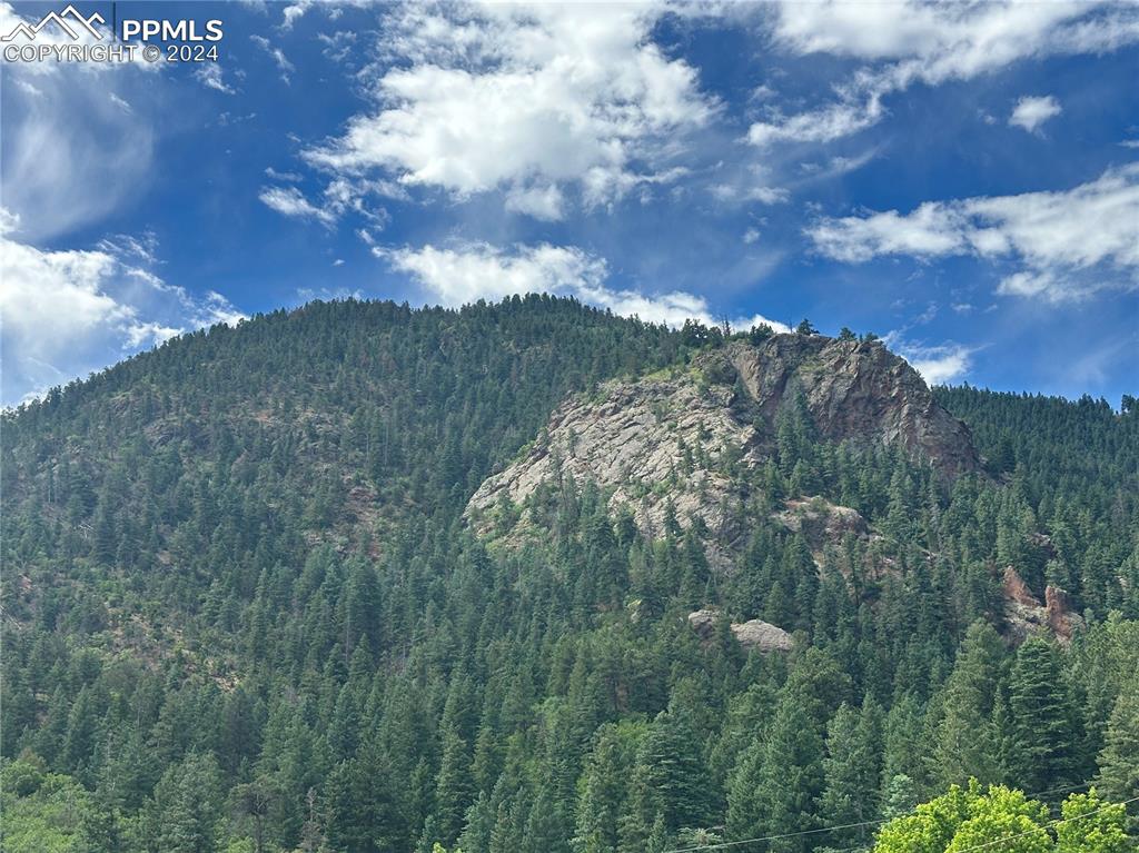 110 Crystal Park Road Manitou Springs, CO 80829 - Photo 2 of 22 a view of a lot of trees