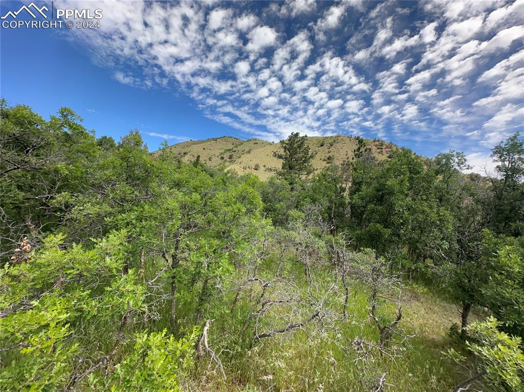 110 Crystal Park Road Manitou Springs, CO 80829 - Photo 4 of 22 a view of a field