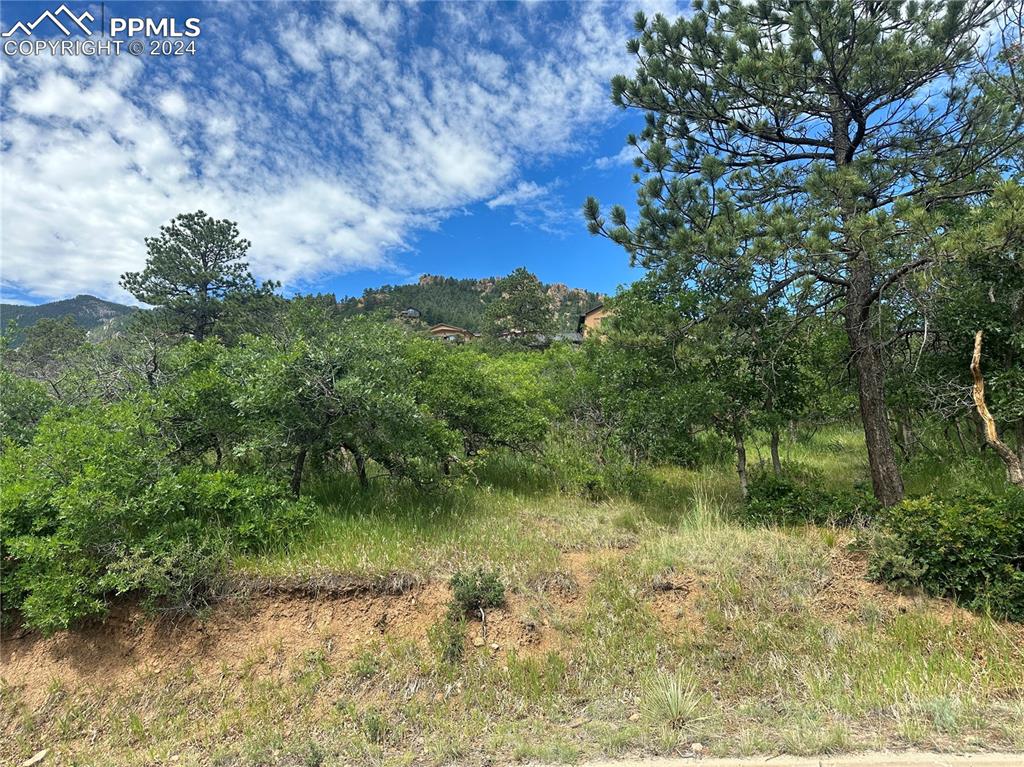 110 Crystal Park Road Manitou Springs, CO 80829 - Photo 5 of 22 a view of a garden with a lake