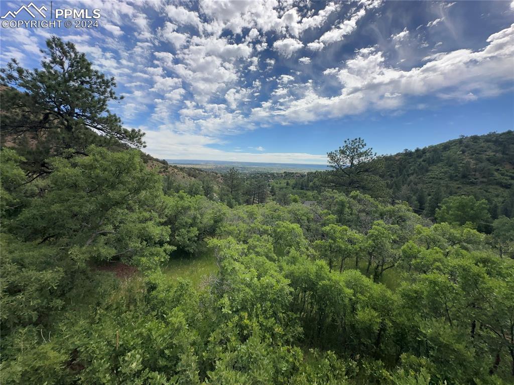 110 Crystal Park Road Manitou Springs, CO 80829 - Photo 7 of 22 a view of a yard in a field