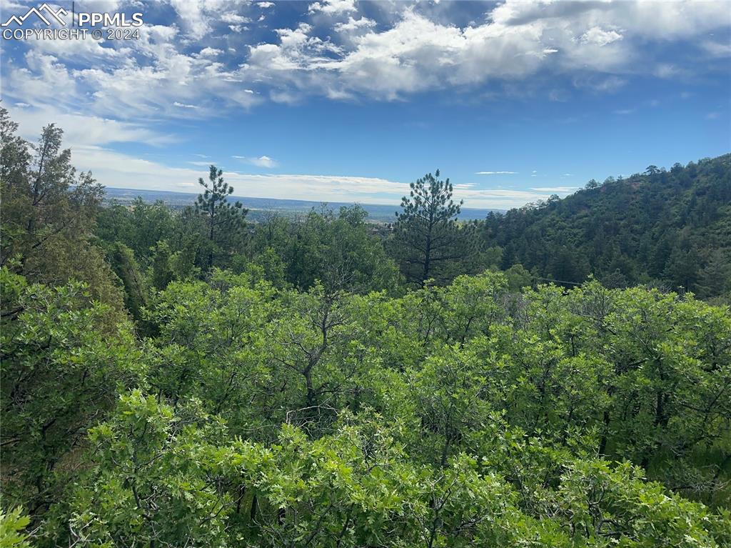 110 Crystal Park Road Manitou Springs, CO 80829 - Photo 8 of 22 a view of a bunch of trees in a field