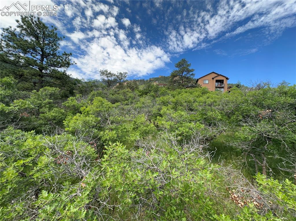 110 Crystal Park Road Manitou Springs, CO 80829 - Photo 9 of 22 a view of a large tree with a yard