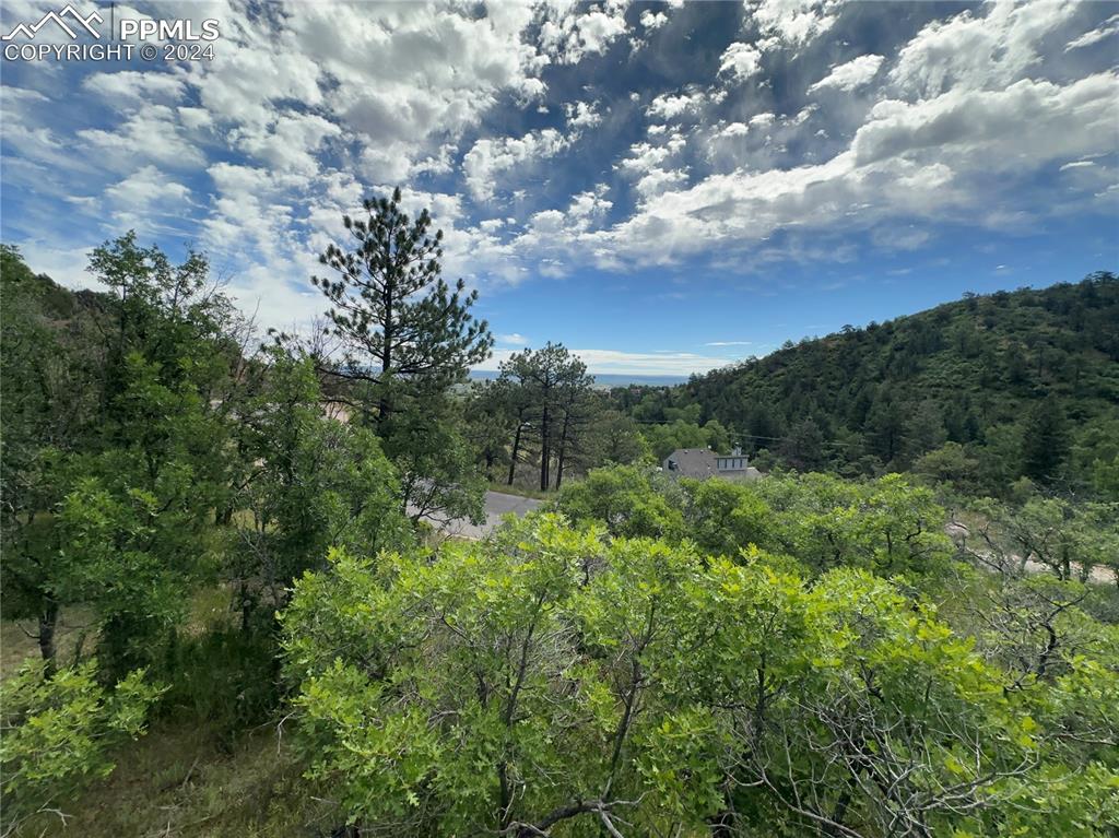 110 Crystal Park Road Manitou Springs, CO 80829 - Photo 10 of 22 a view of a bunch of trees