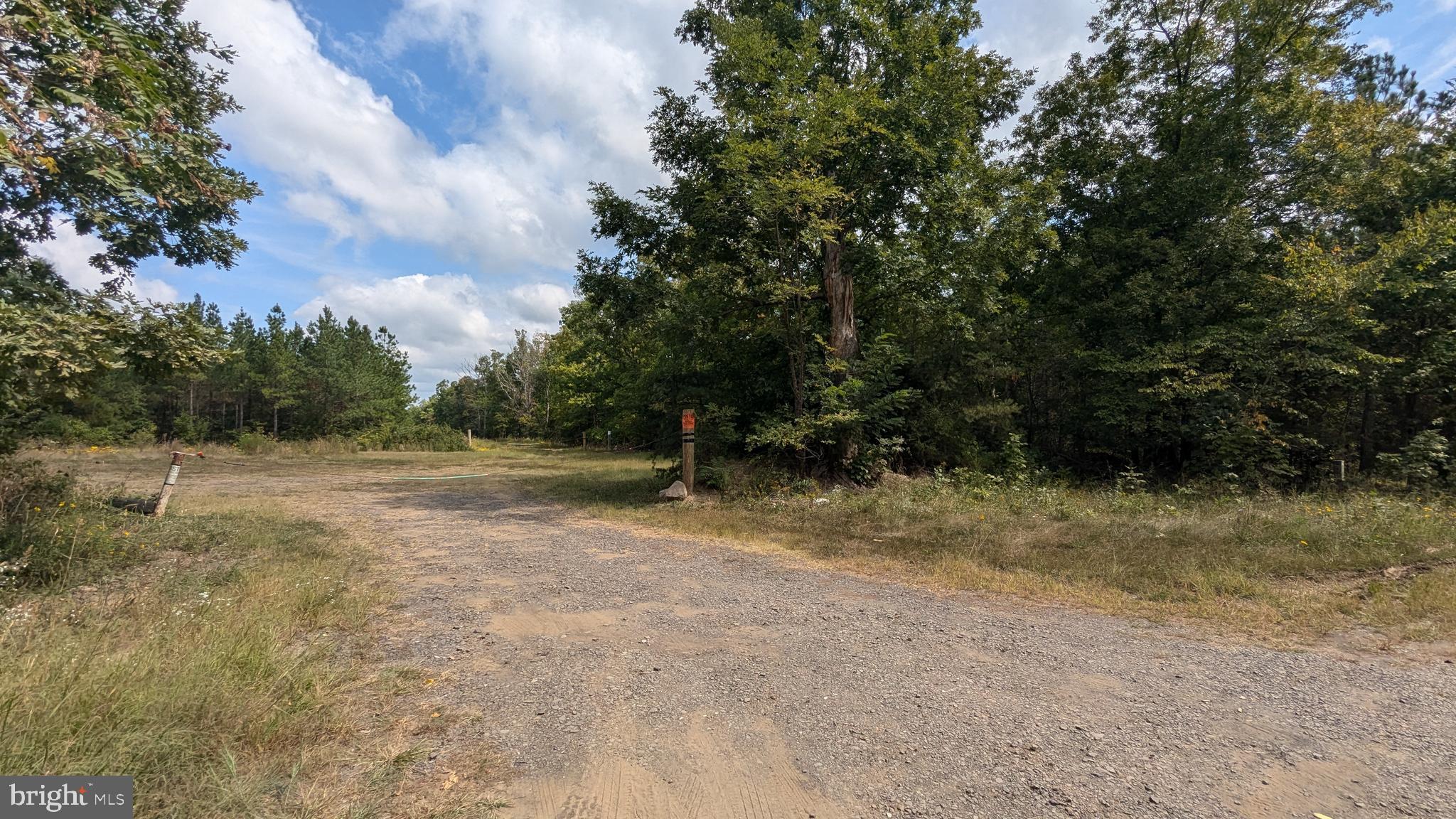 Raccoon Ford Road Culpeper, VA 22701 - Photo 4 of 16 Right of cable is East property corner