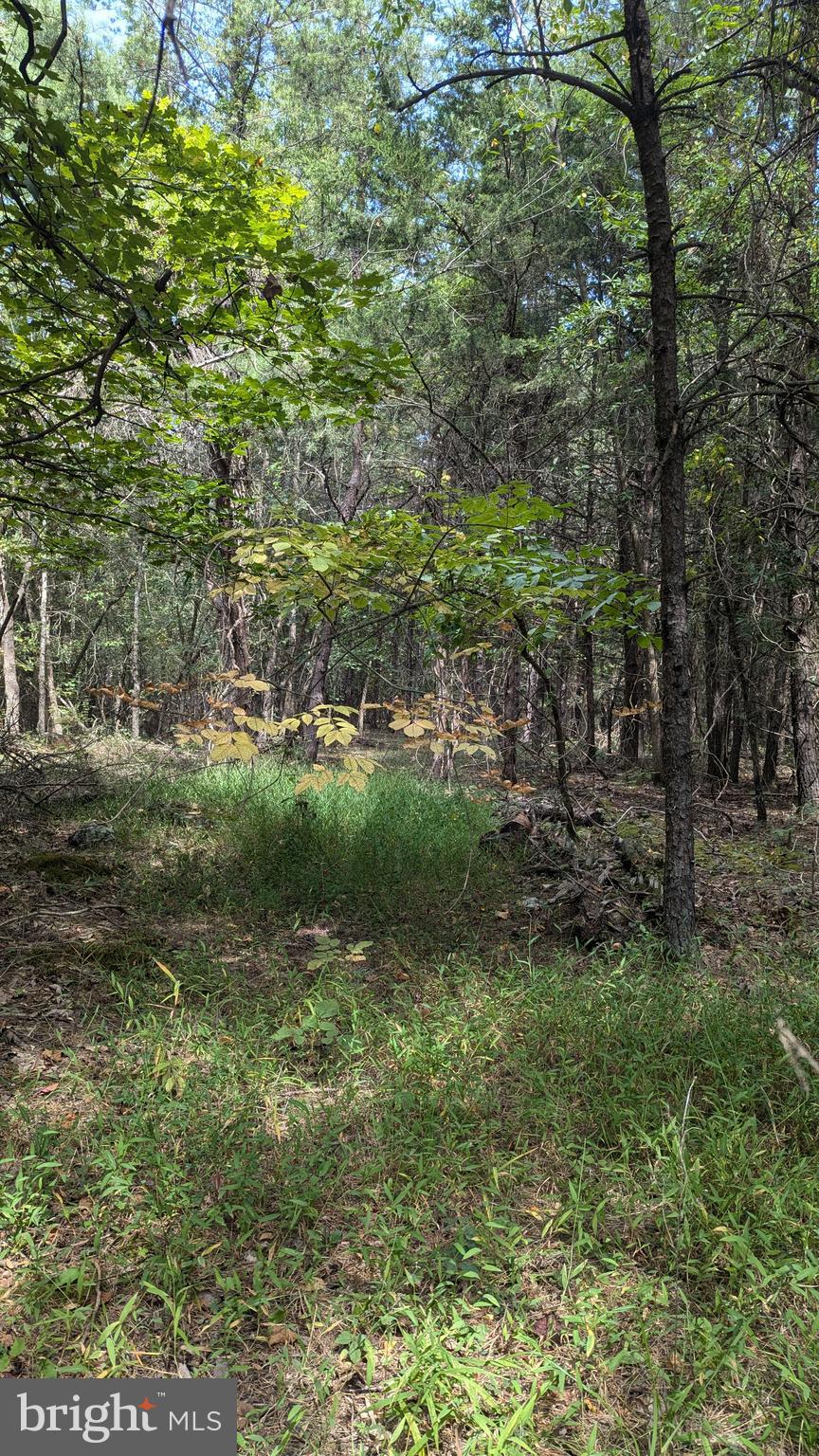 Raccoon Ford Road Culpeper, VA 22701 - Photo 6 of 16 Interior