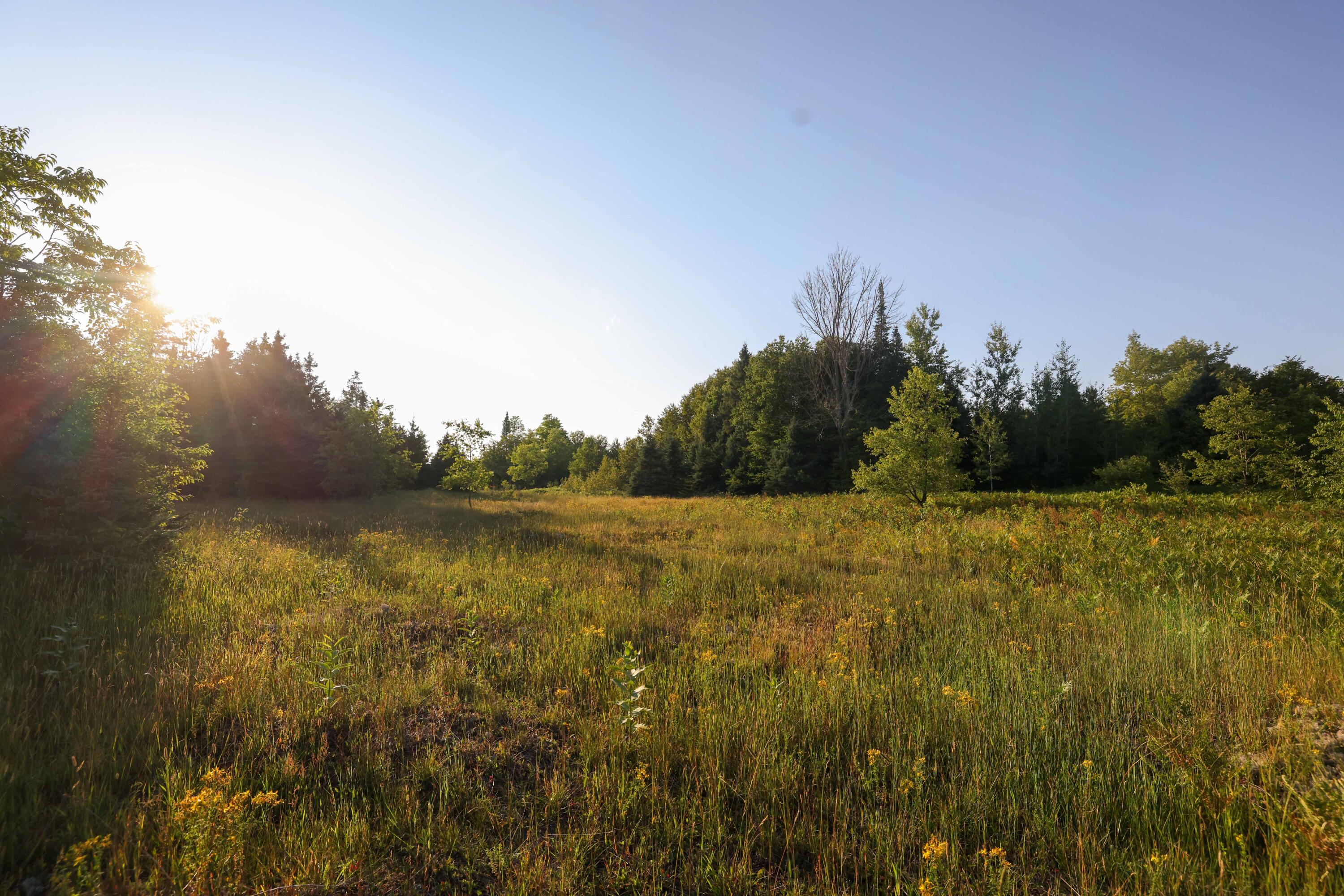 0 Ford Lake Road Germfask, MI 49836 - Photo 1 of 49 Gallery Image 1