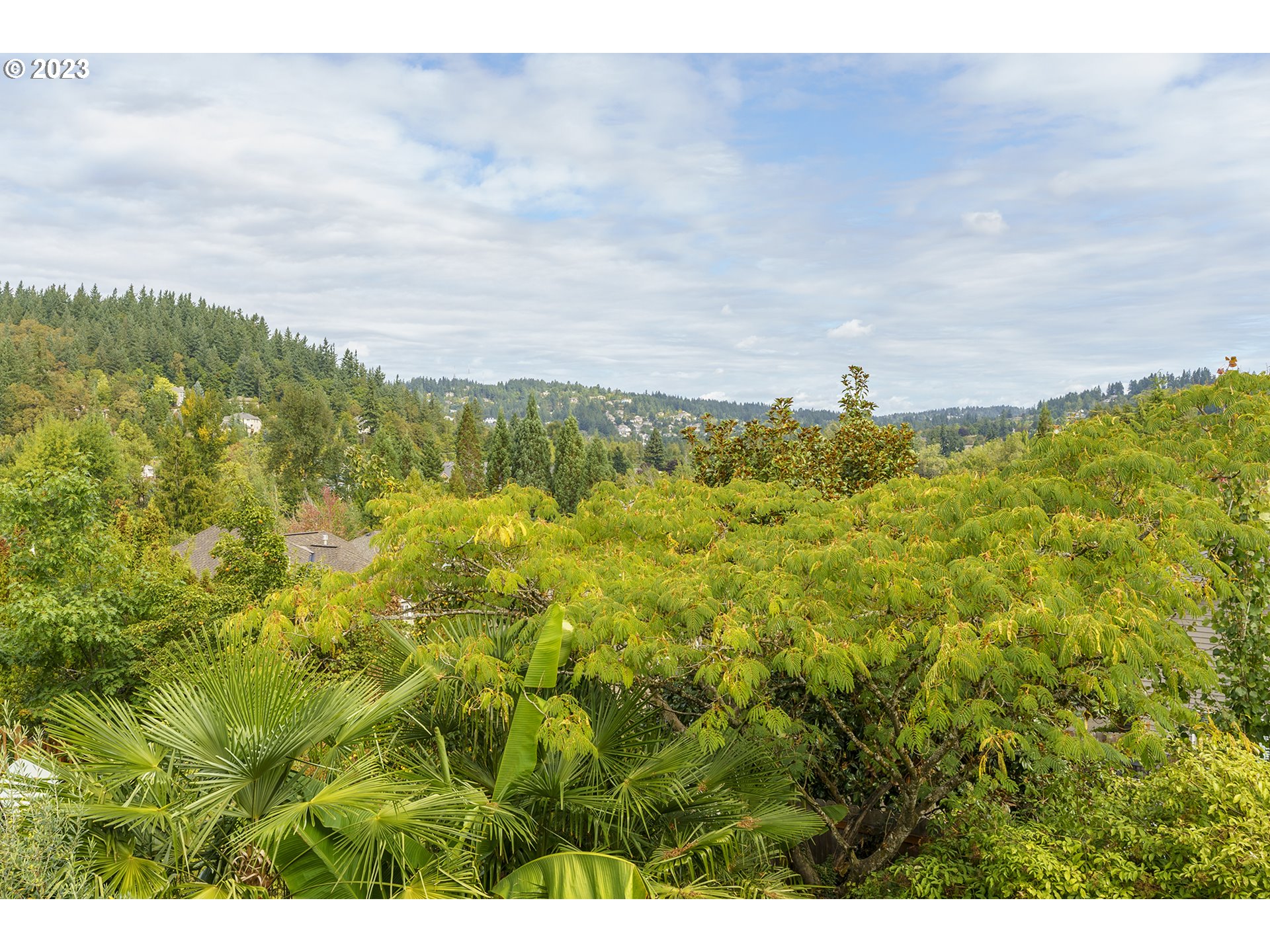 11561 Southeast Highland Loop Clackamas, OR 97015 - Photo 35 of 36 a view of a field of grass and trees