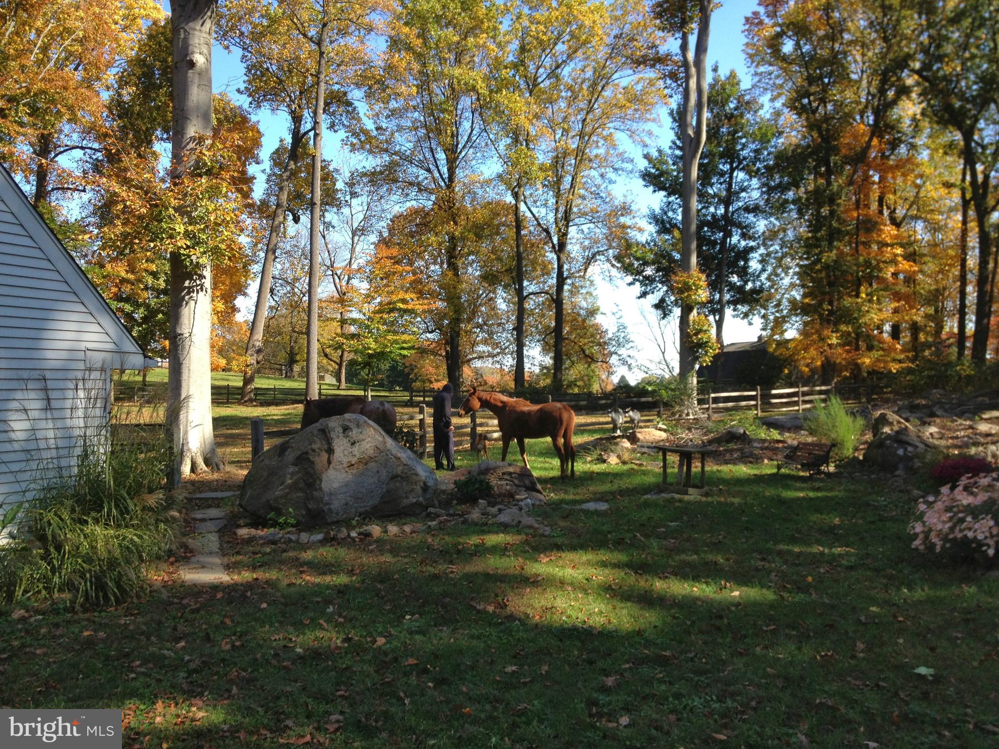 8080 Goshen Road Malvern, PA 19355 - Photo 41 of 51