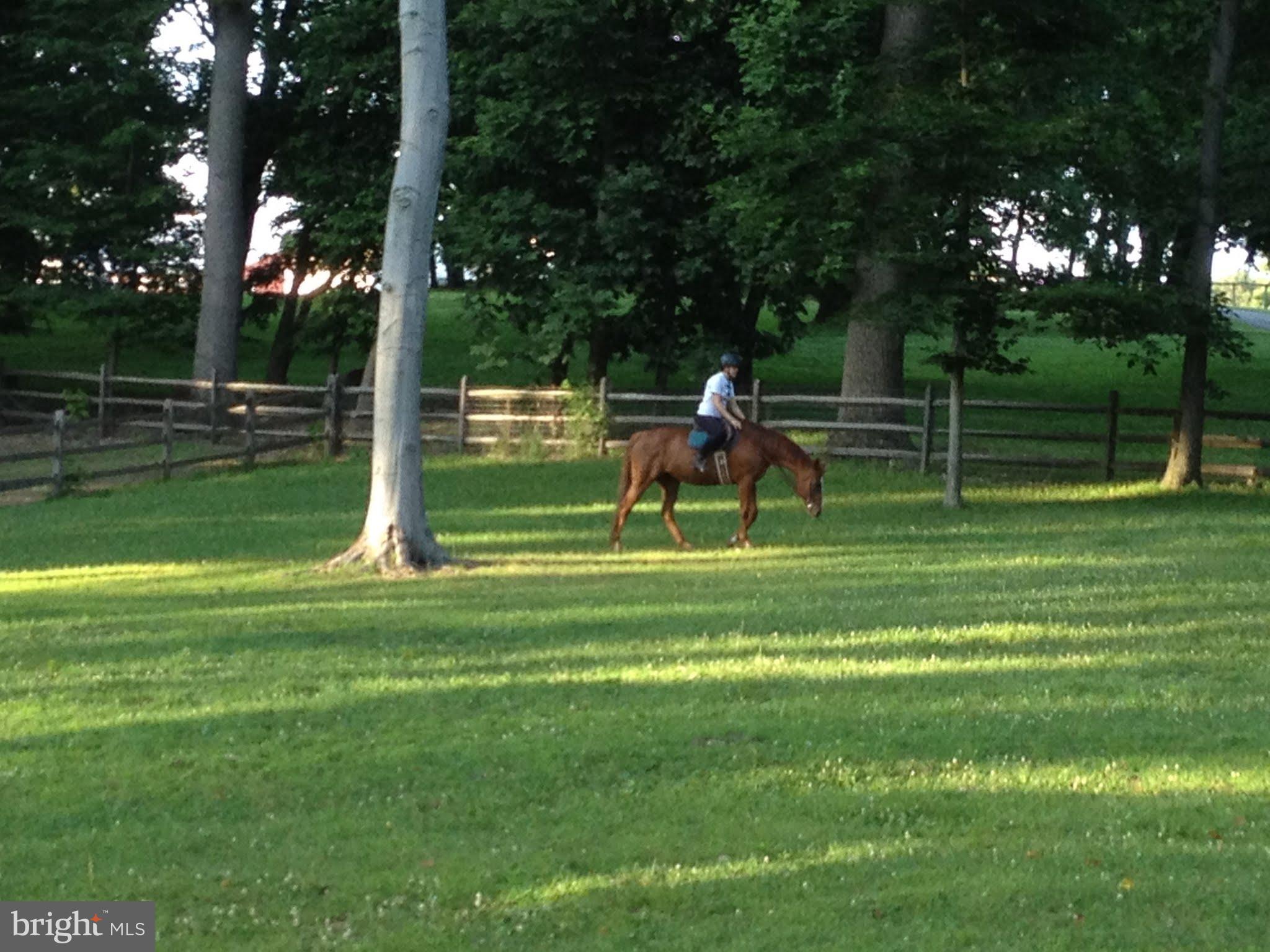 8080 Goshen Road Malvern, PA 19355 - Photo 45 of 51