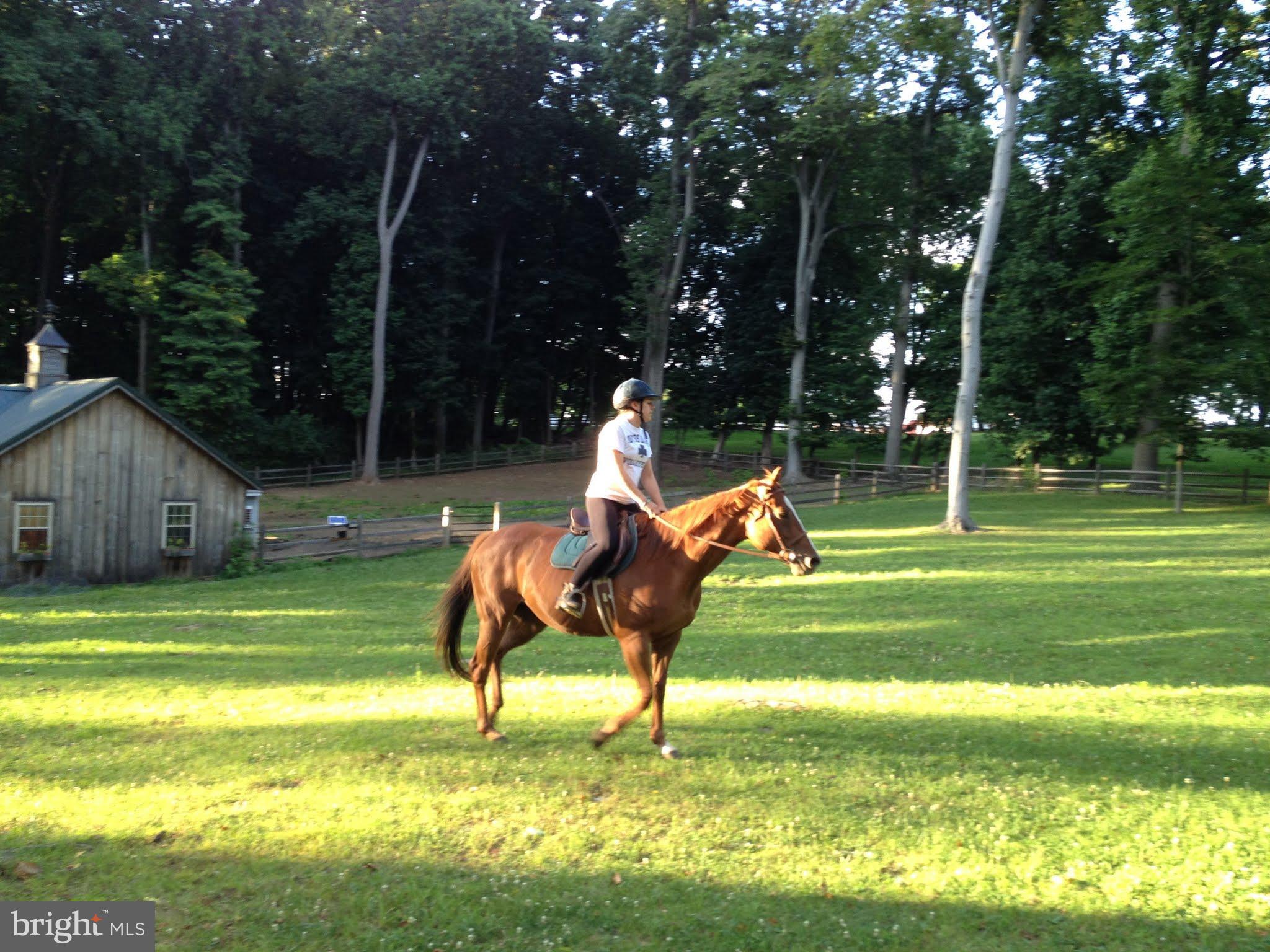 8080 Goshen Road Malvern, PA 19355 - Photo 47 of 51