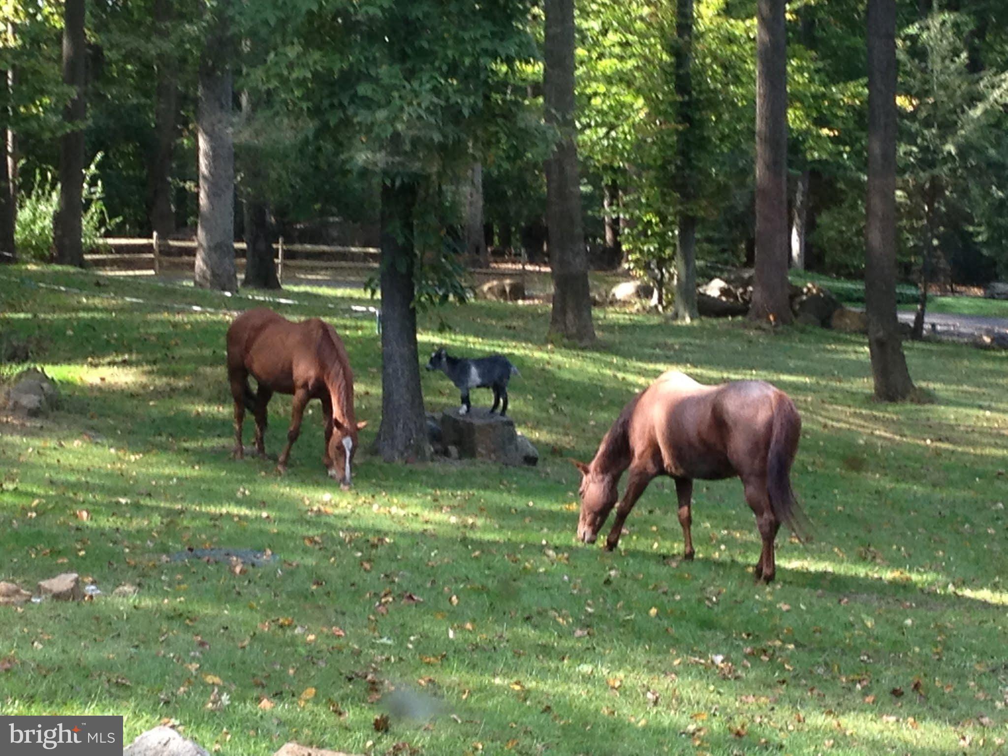 8080 Goshen Road Malvern, PA 19355 - Photo 48 of 51